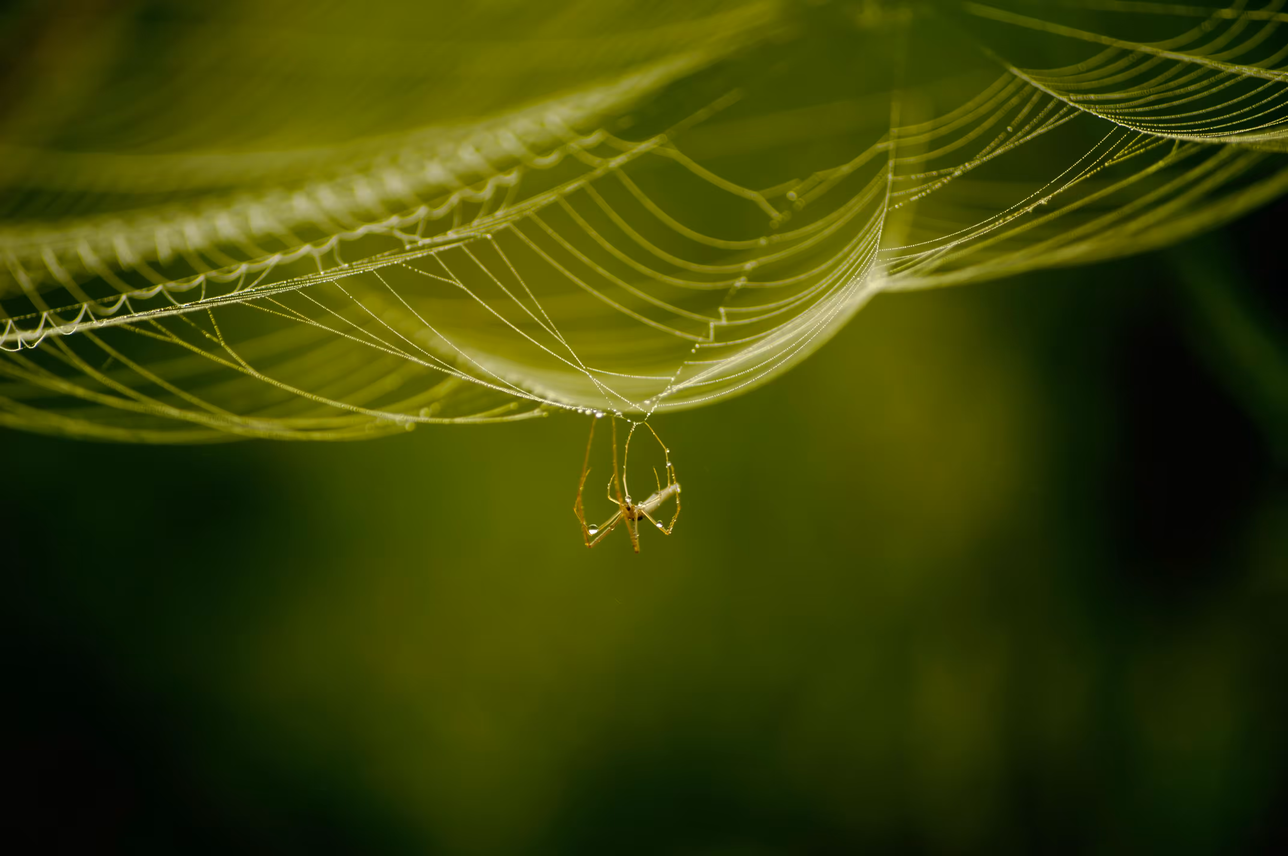 i Hanging
