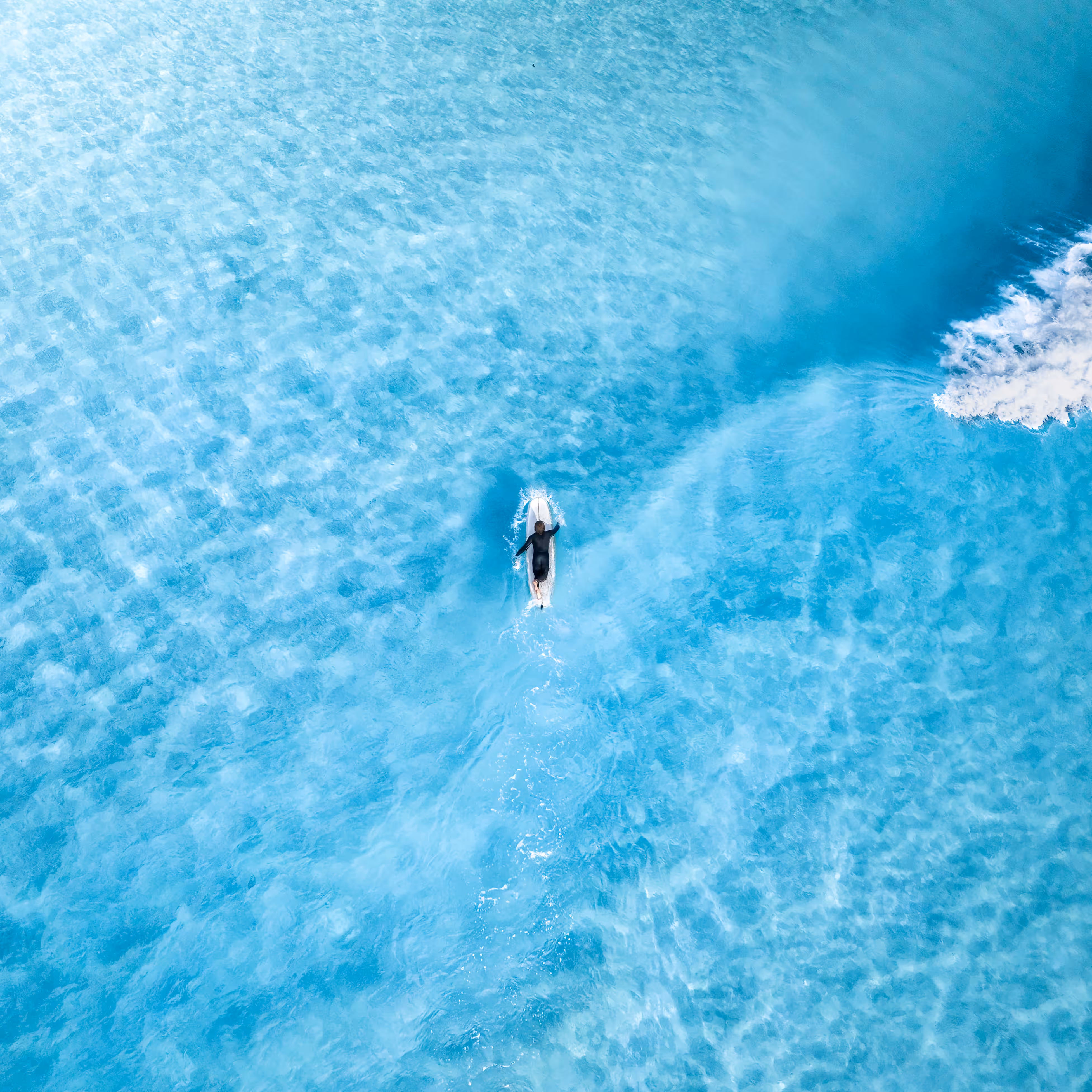 Blue Crush