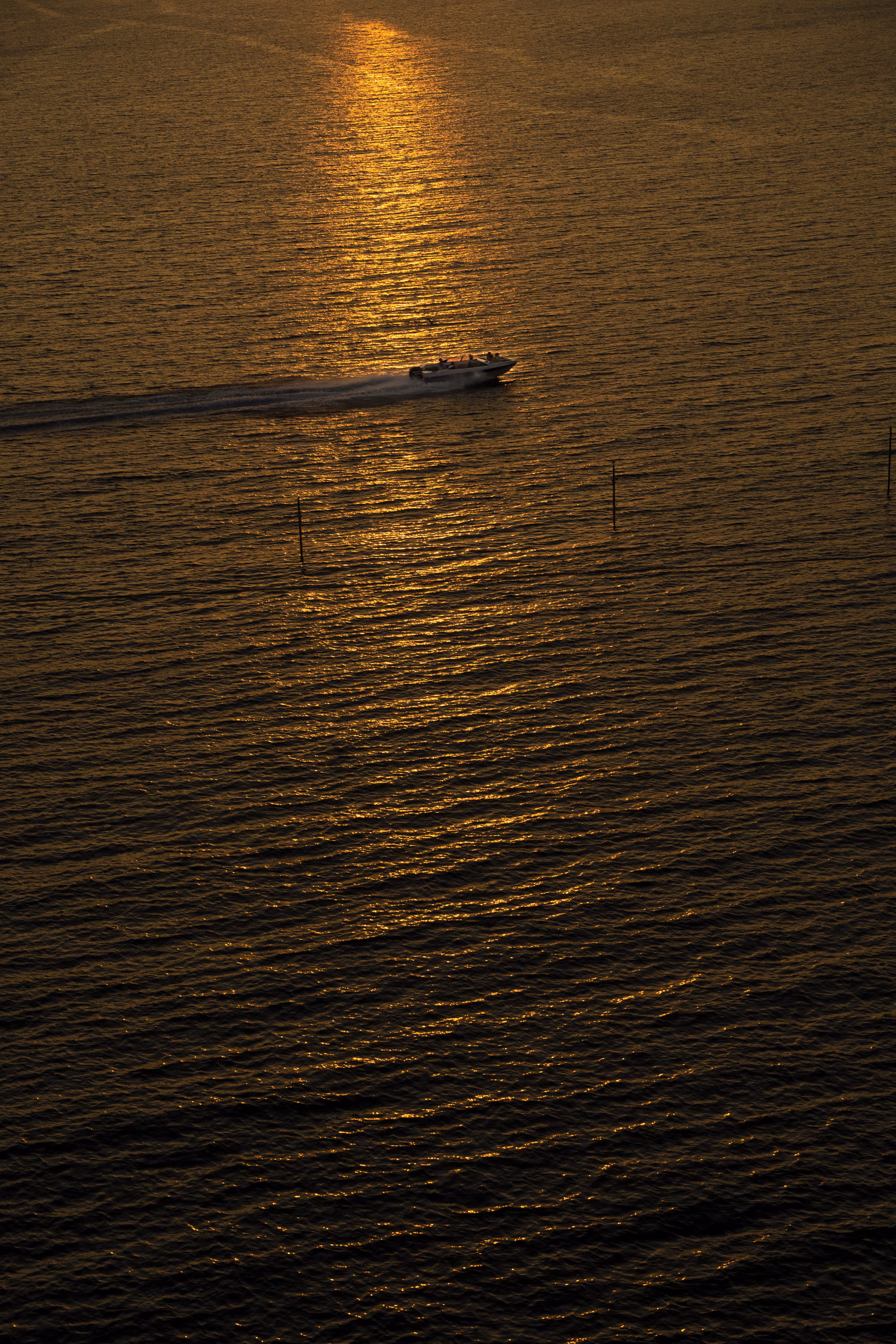 Golden sunset