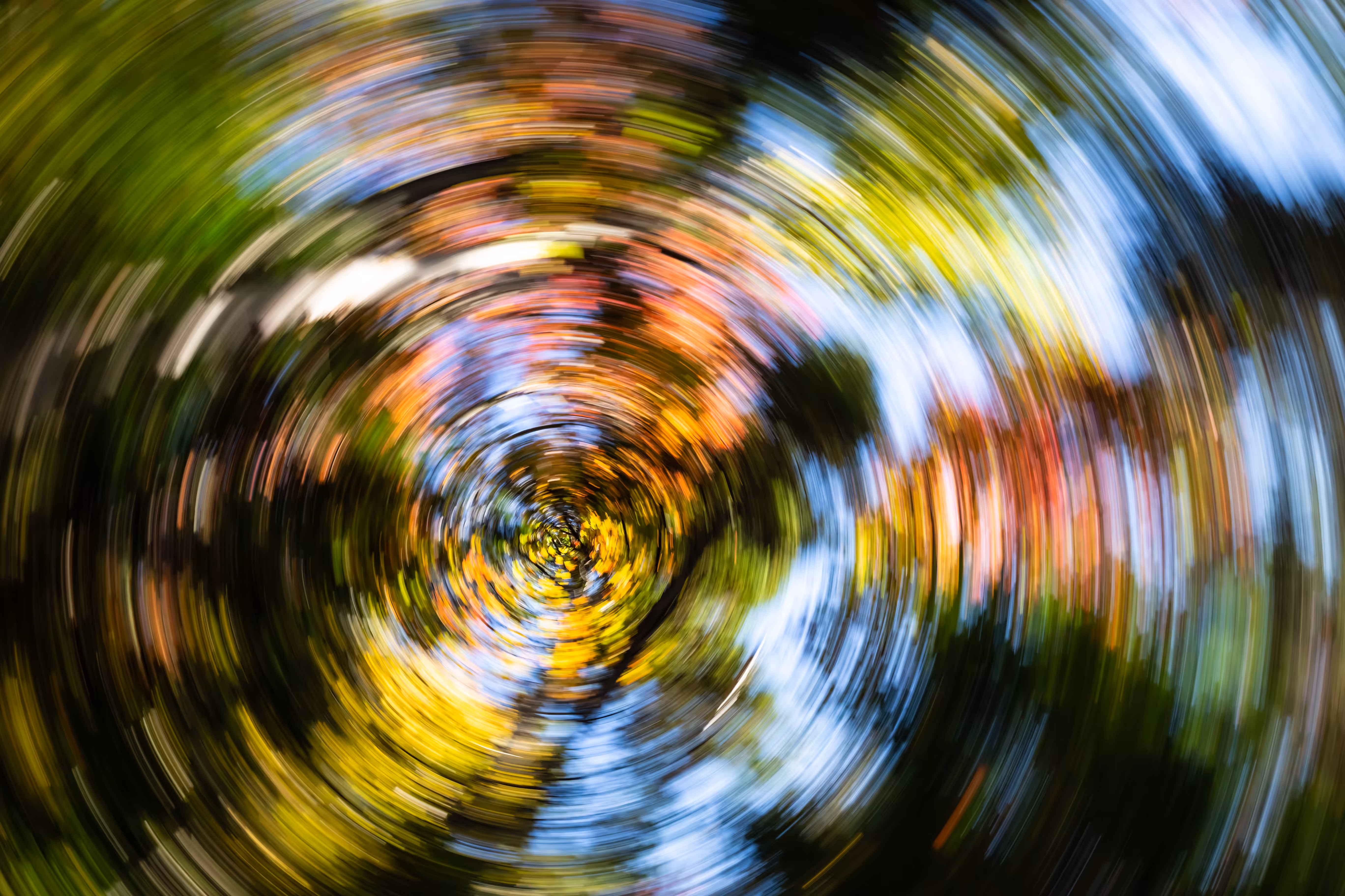 Tree Rings #38 - Autumnal