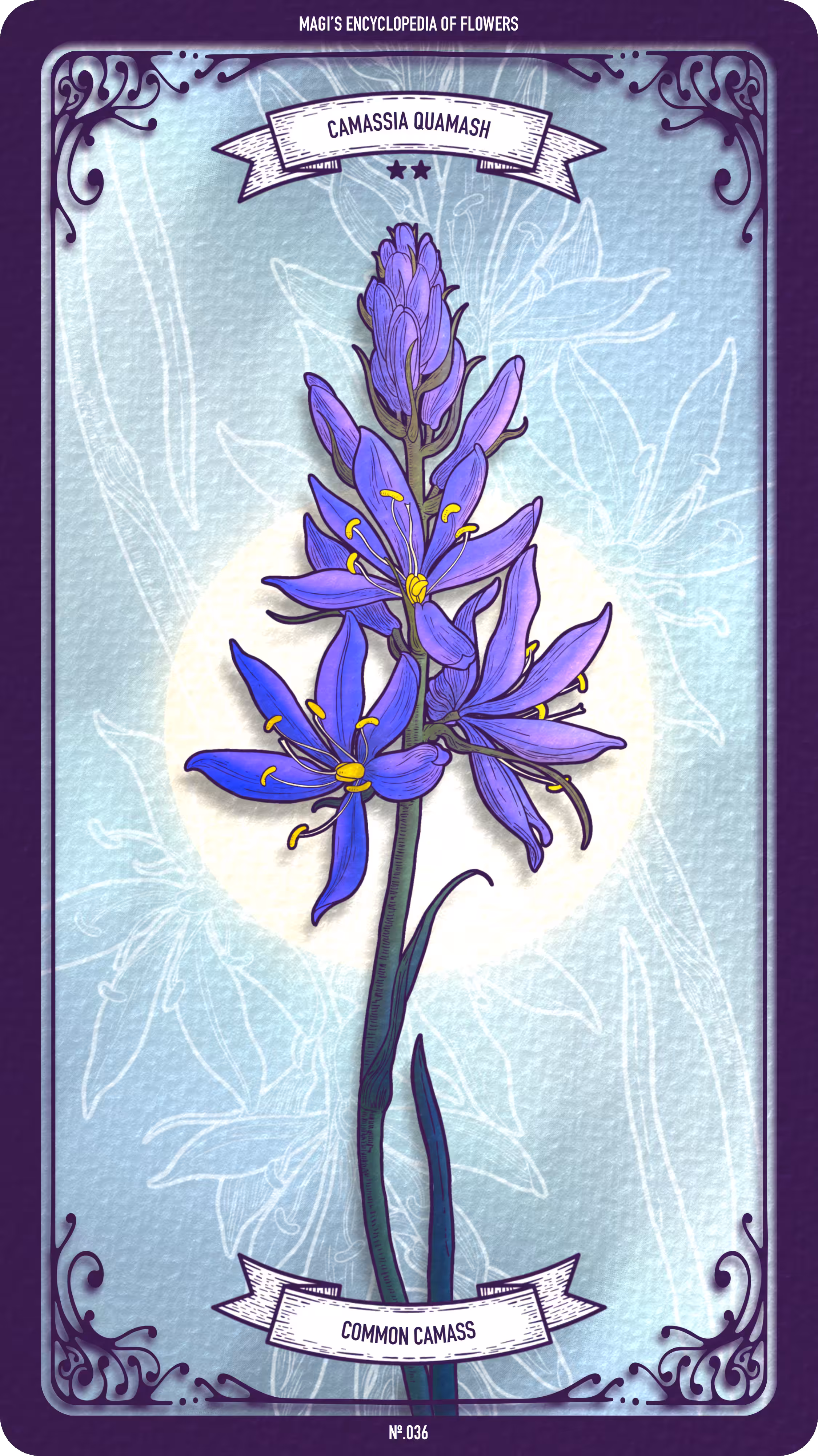 Magi's Encyclopedia of Flowers: 036 Common Camass