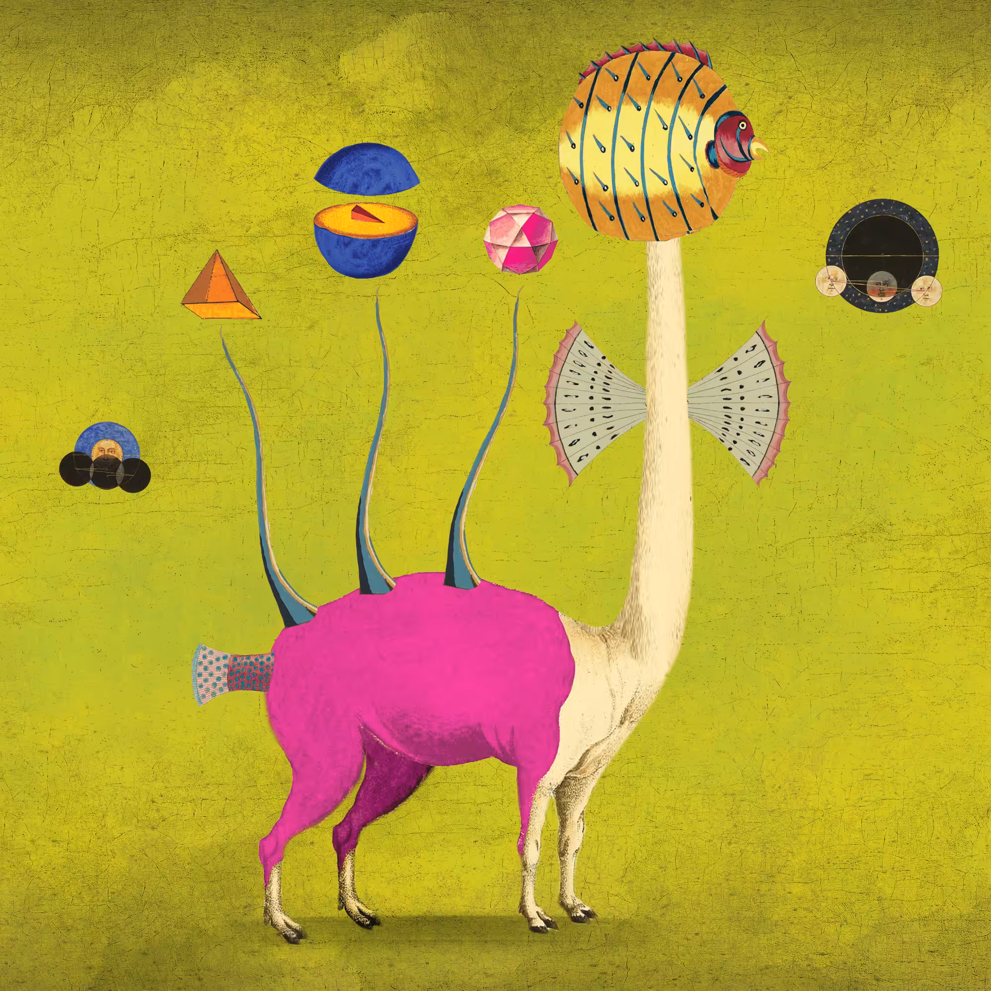 Impossible Creature #53
