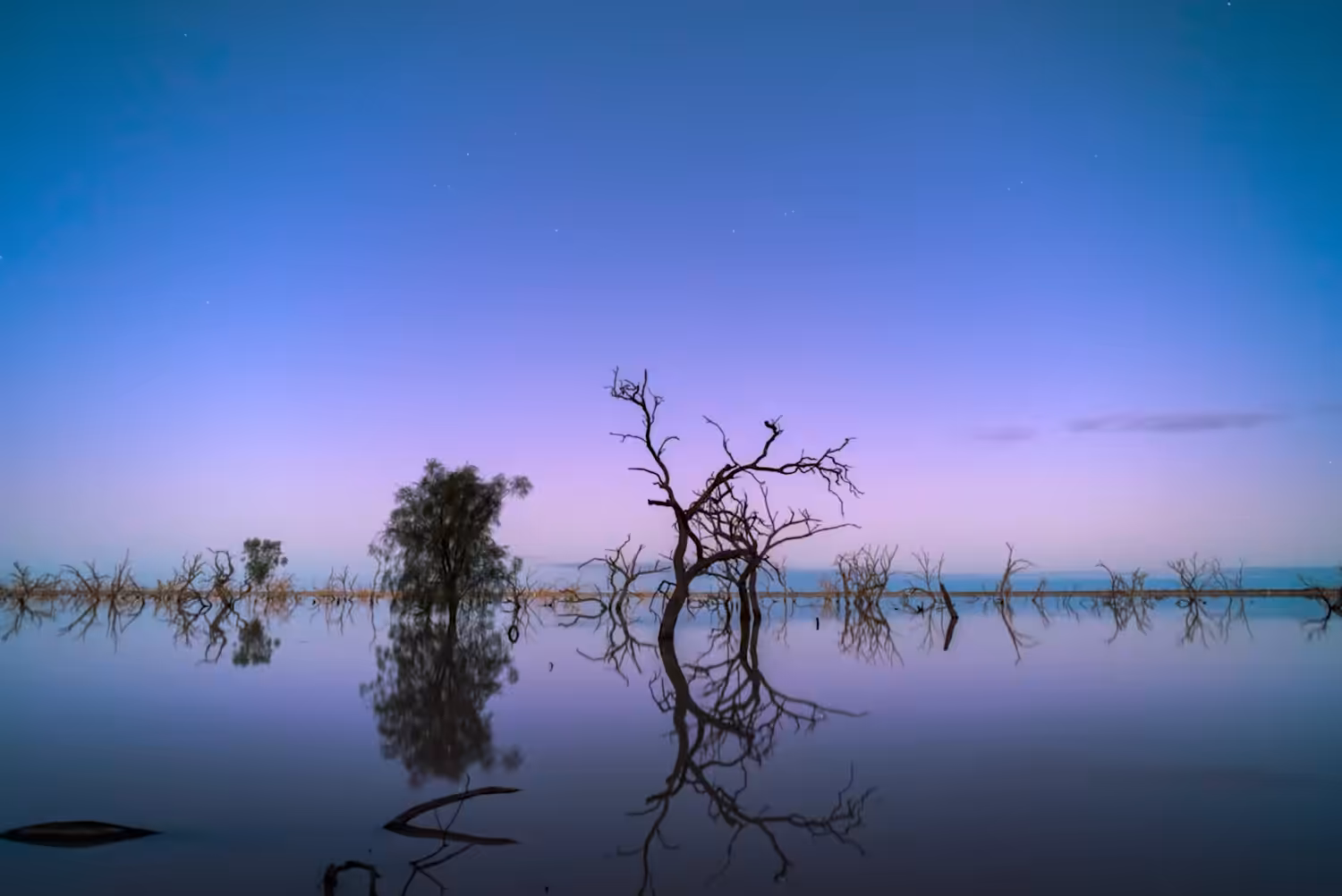 A Cluster of Stars: Reflections
