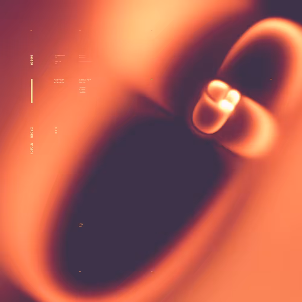 Emission Series | 07 - Spiral