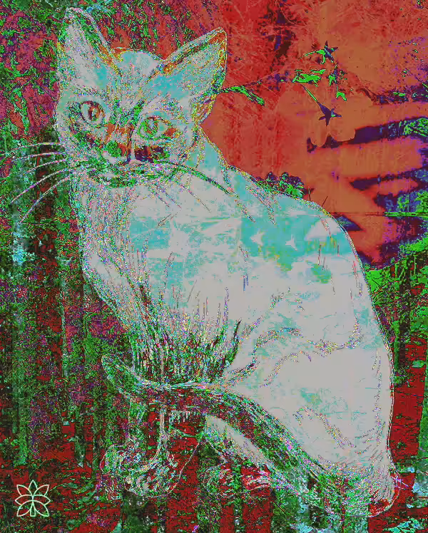 Tripping Kitty Quantum Computer #2 | Video Loop