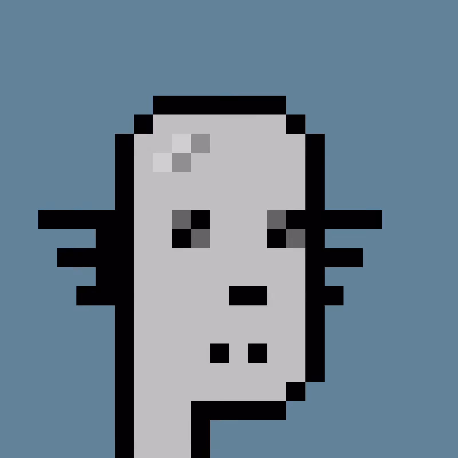RoboPunks 2048 #357