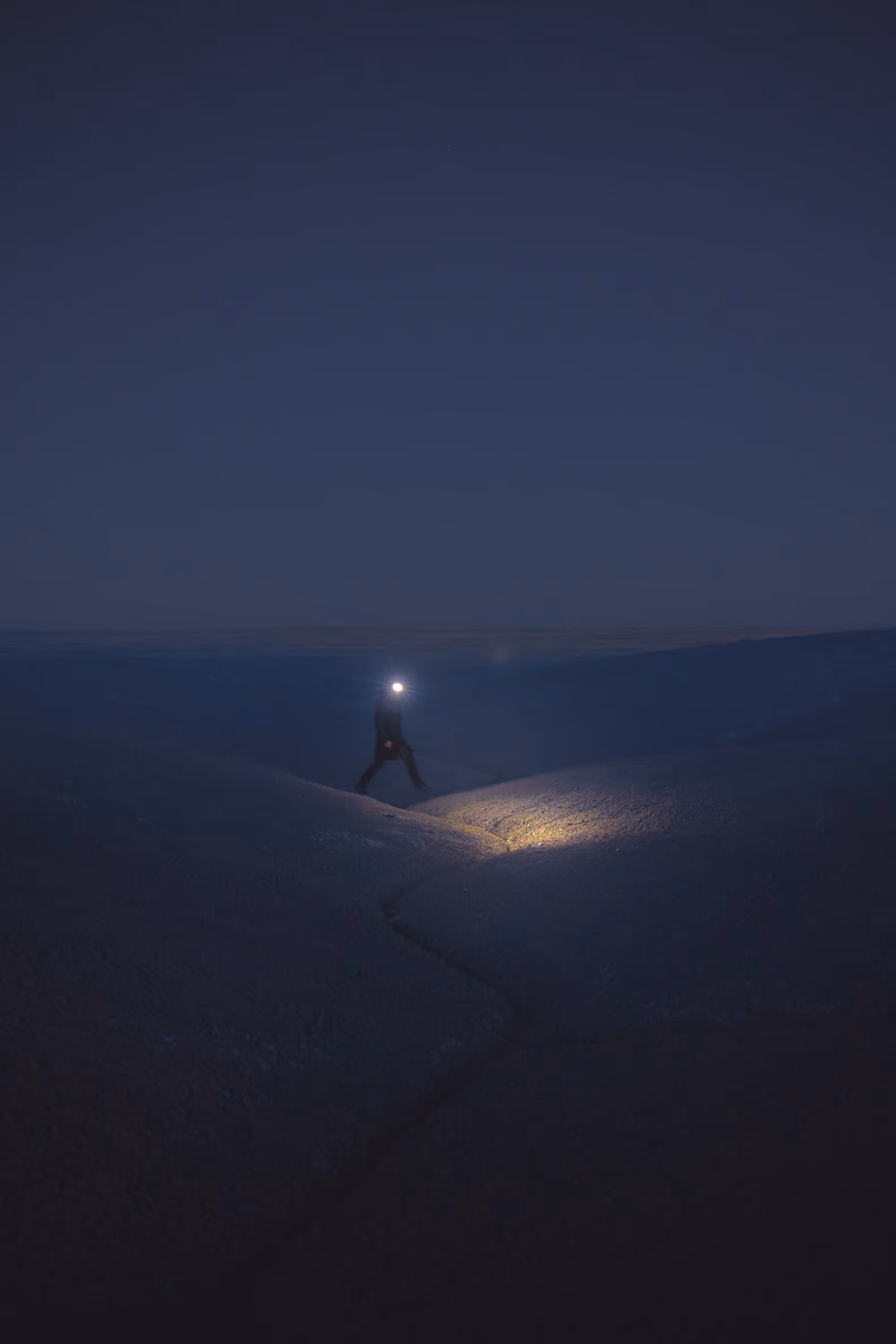 NOCTURNE //
