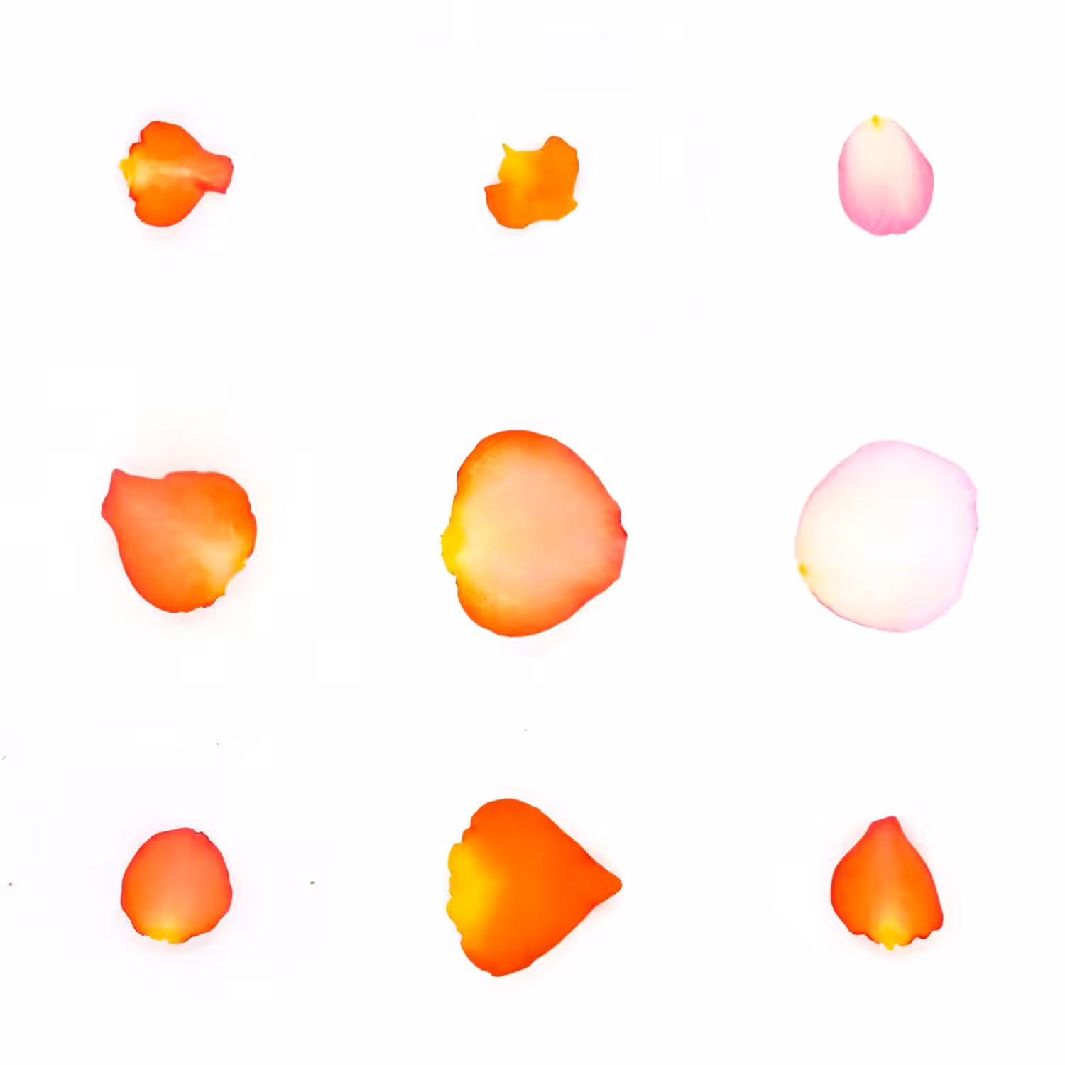 Infinite Petals 3x3#1020