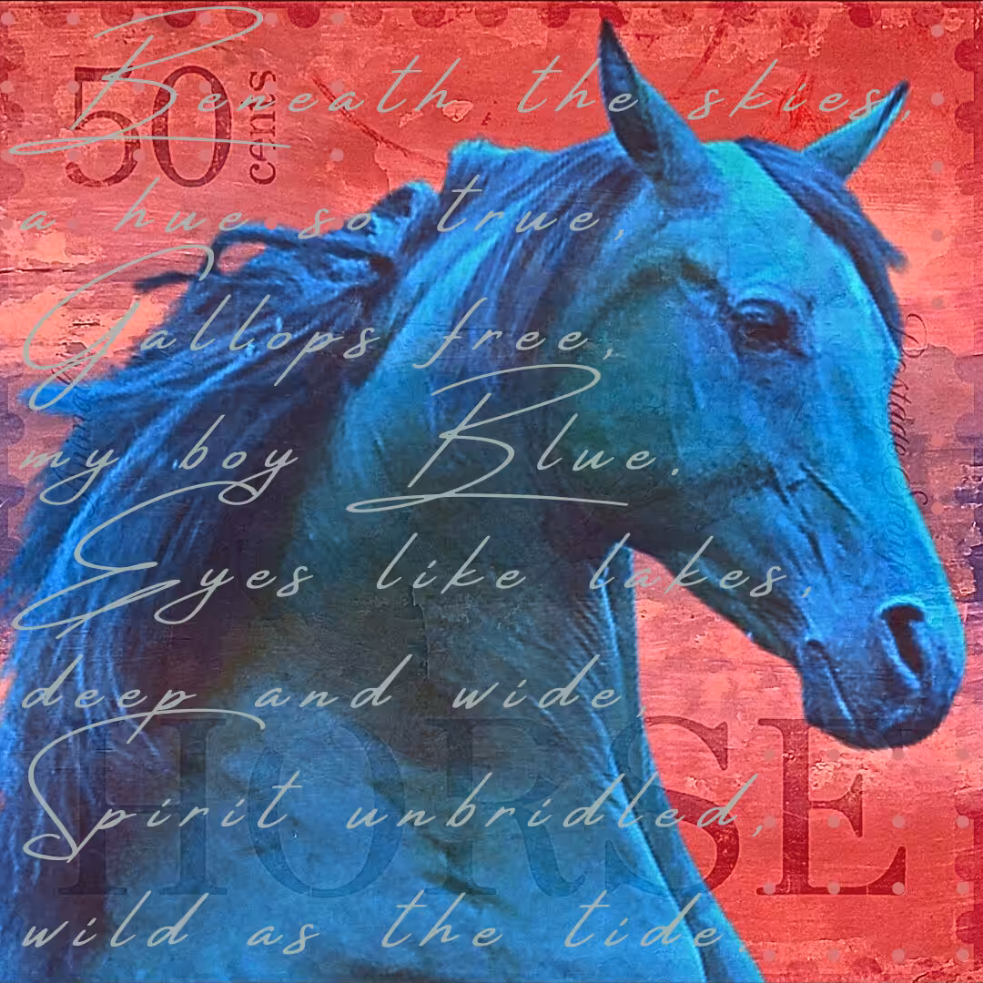 My Boy Blue