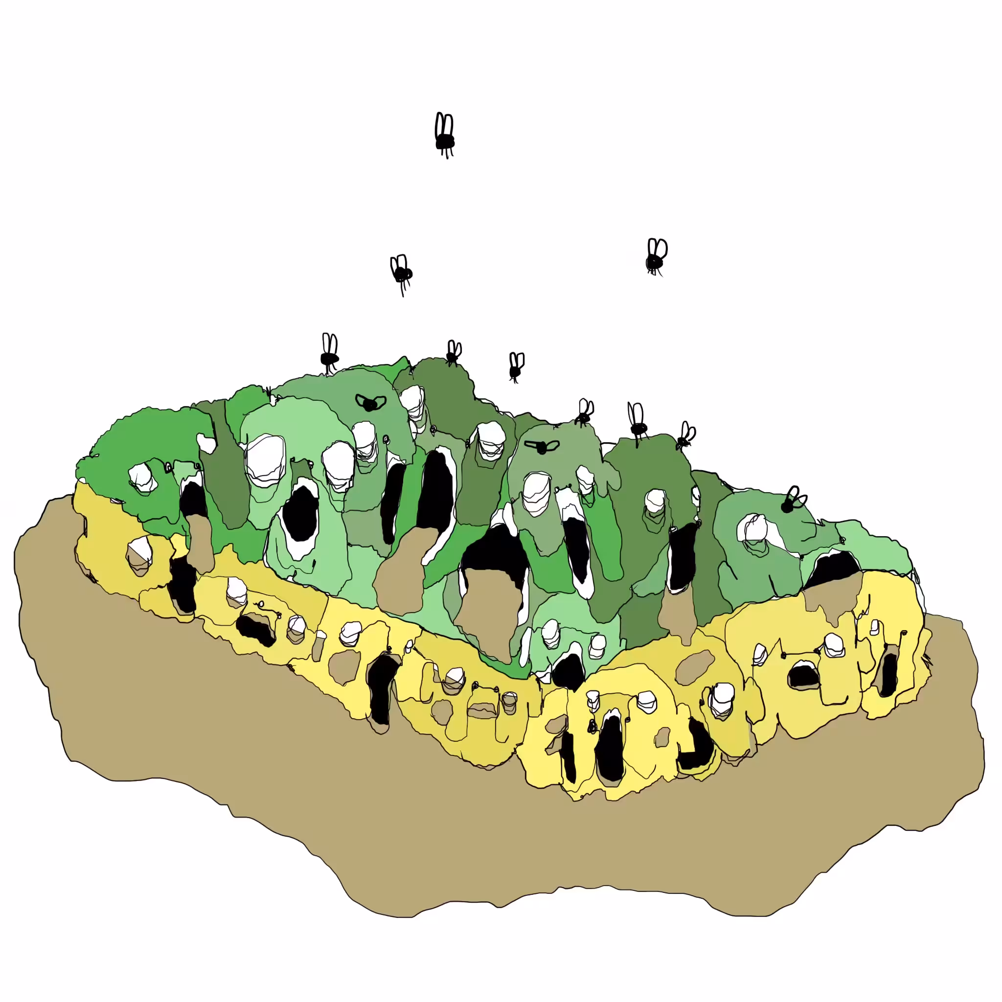 content sponge