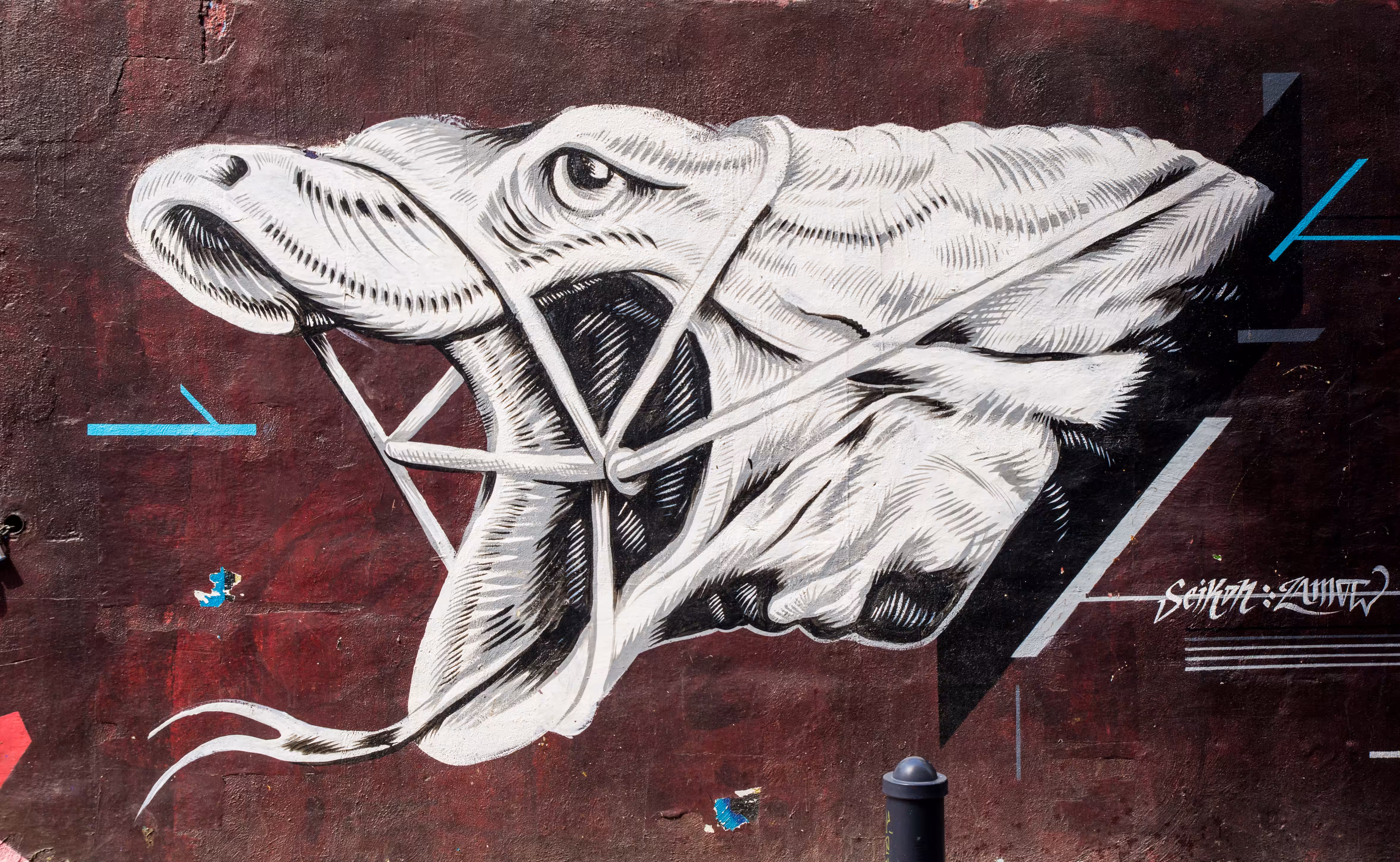 Personal street art archives. Spain, Valencia, 2015