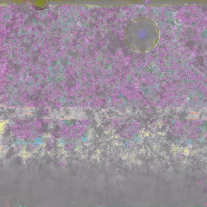 g-scapes #7