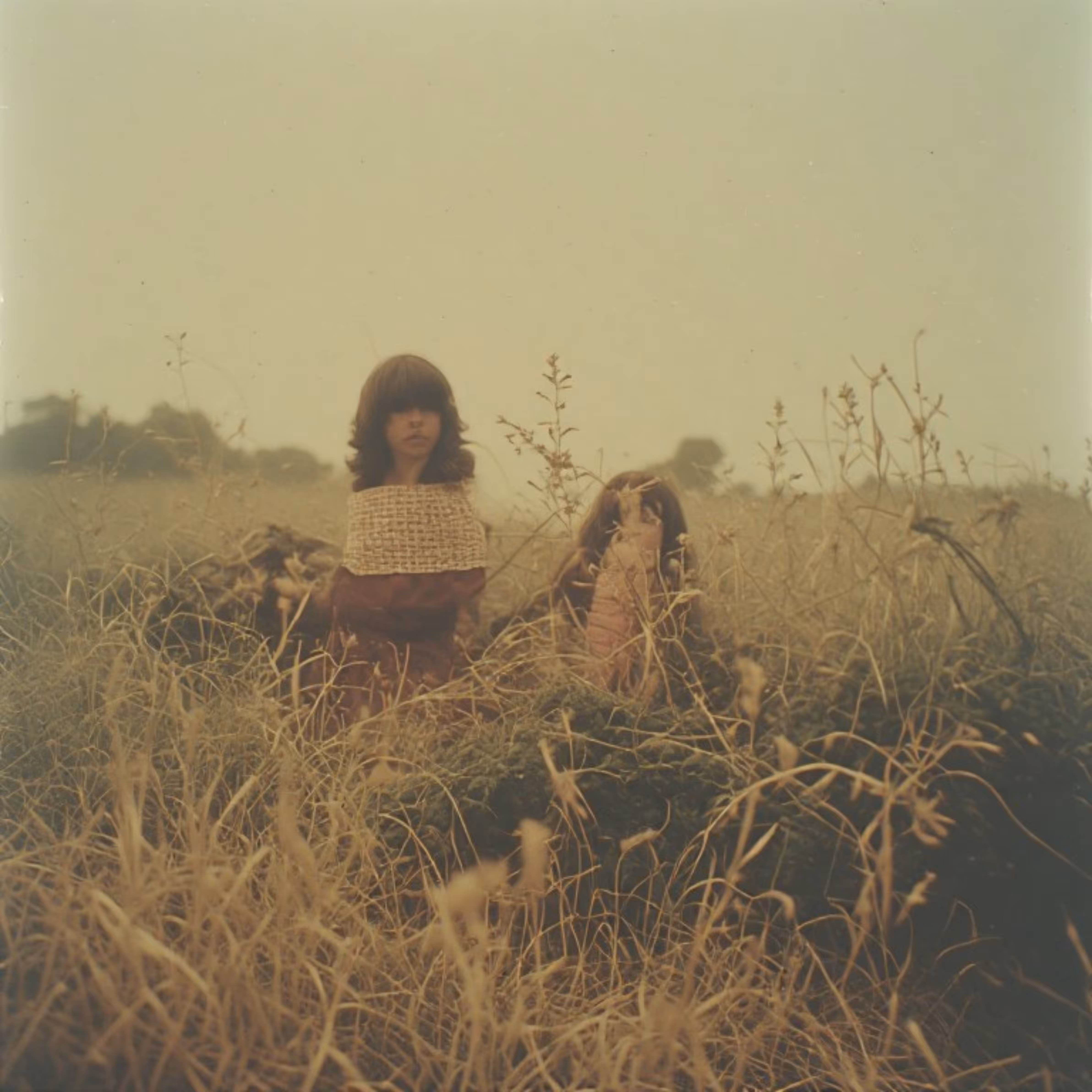 Field