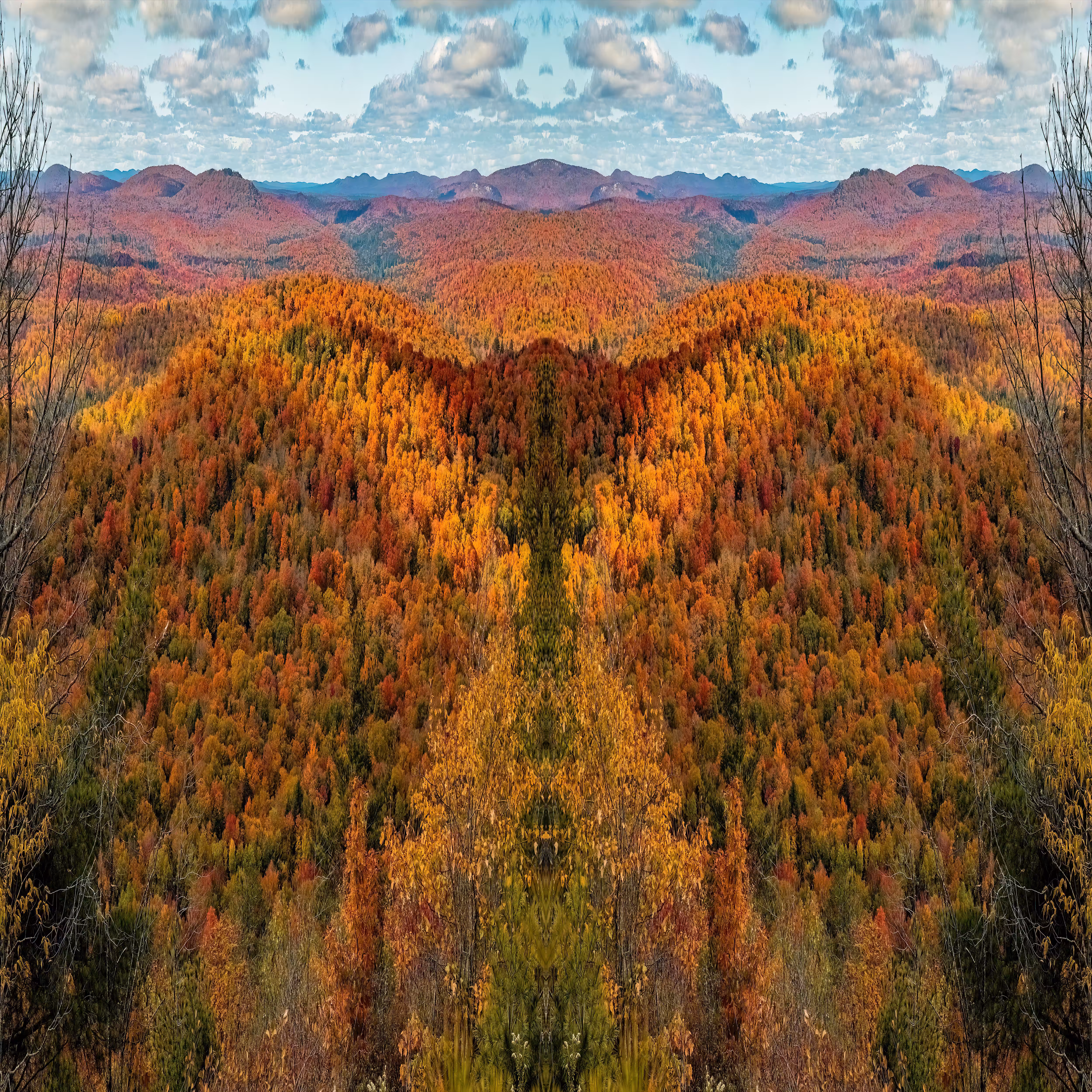Mirror 27