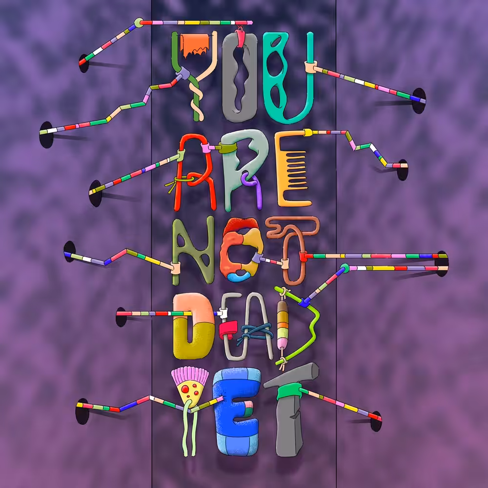 Y.A.N.D.Y.