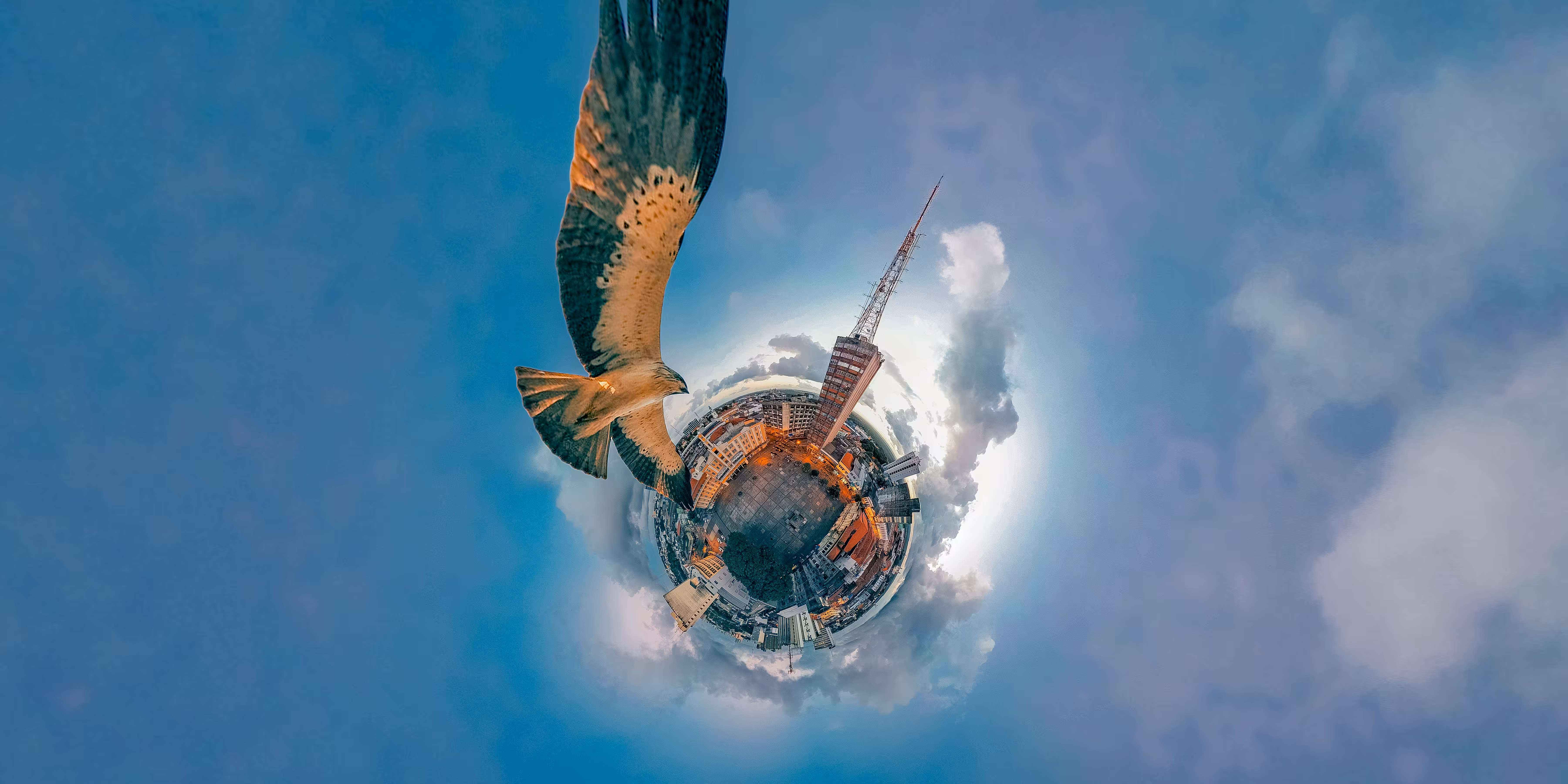 little planet bird
