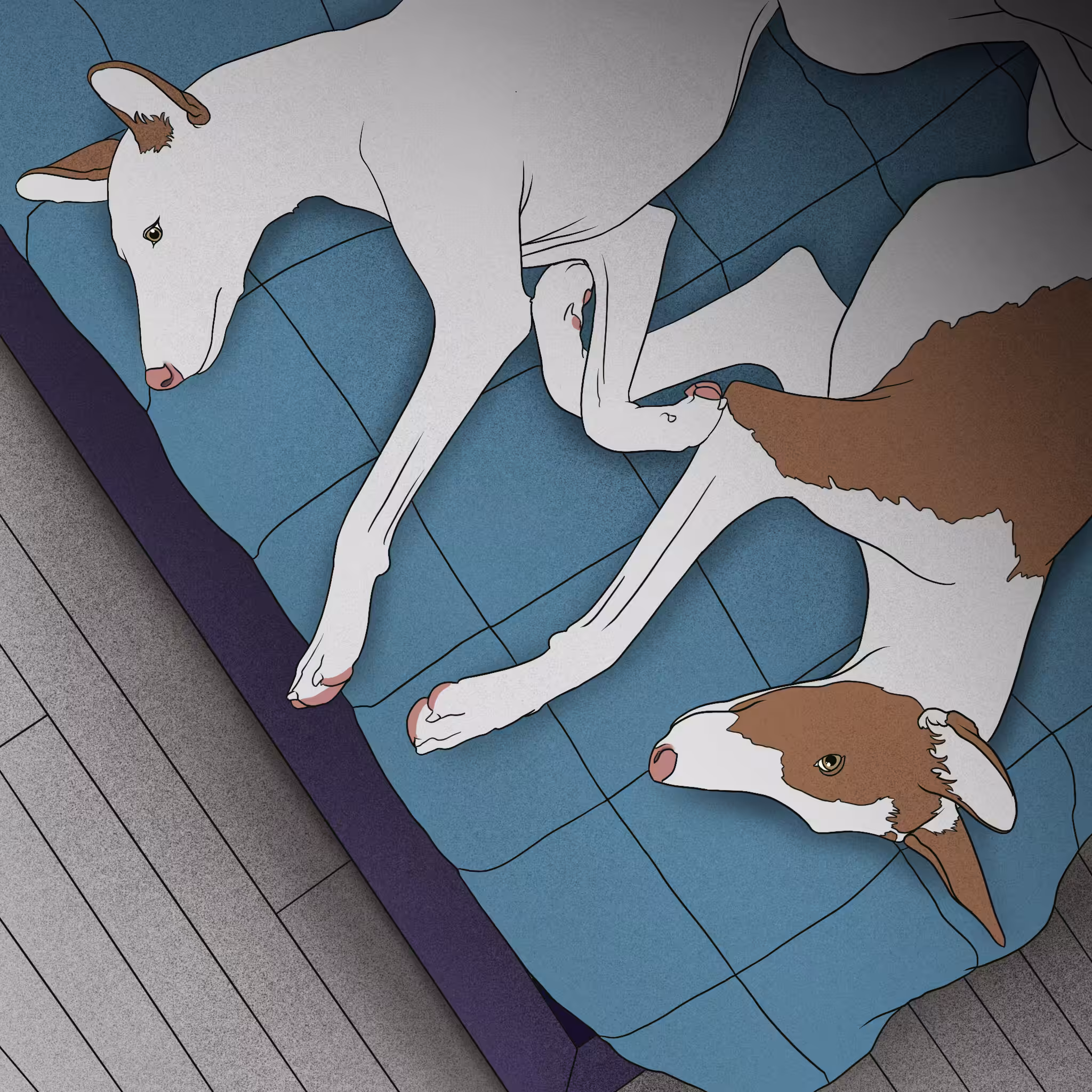 • AFTERNOON NAP •
