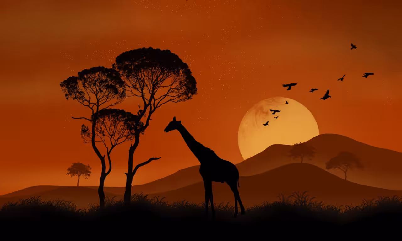 Giraffe