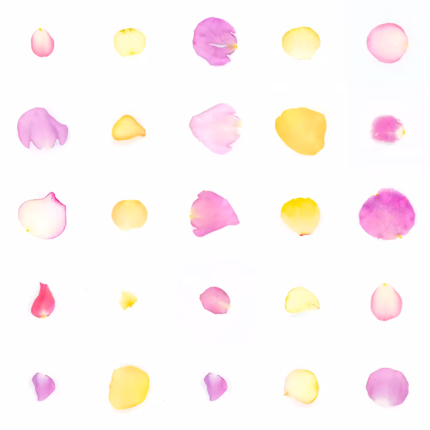 Infinite Petals 5x5#21181