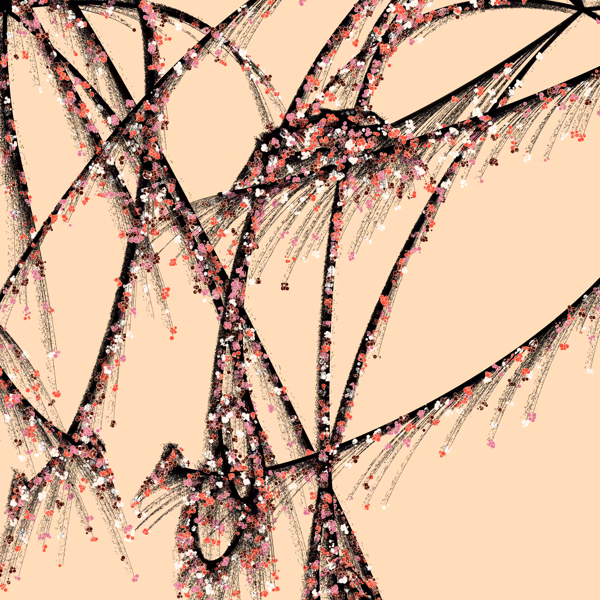 Sakura algorithm generations: SAKURA