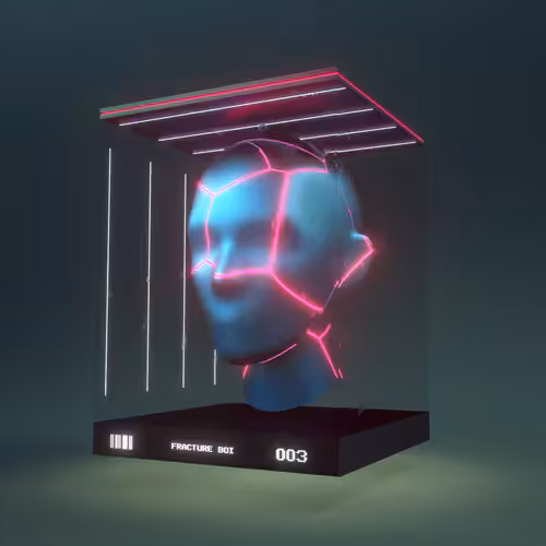 FRACTURE BOI - 003