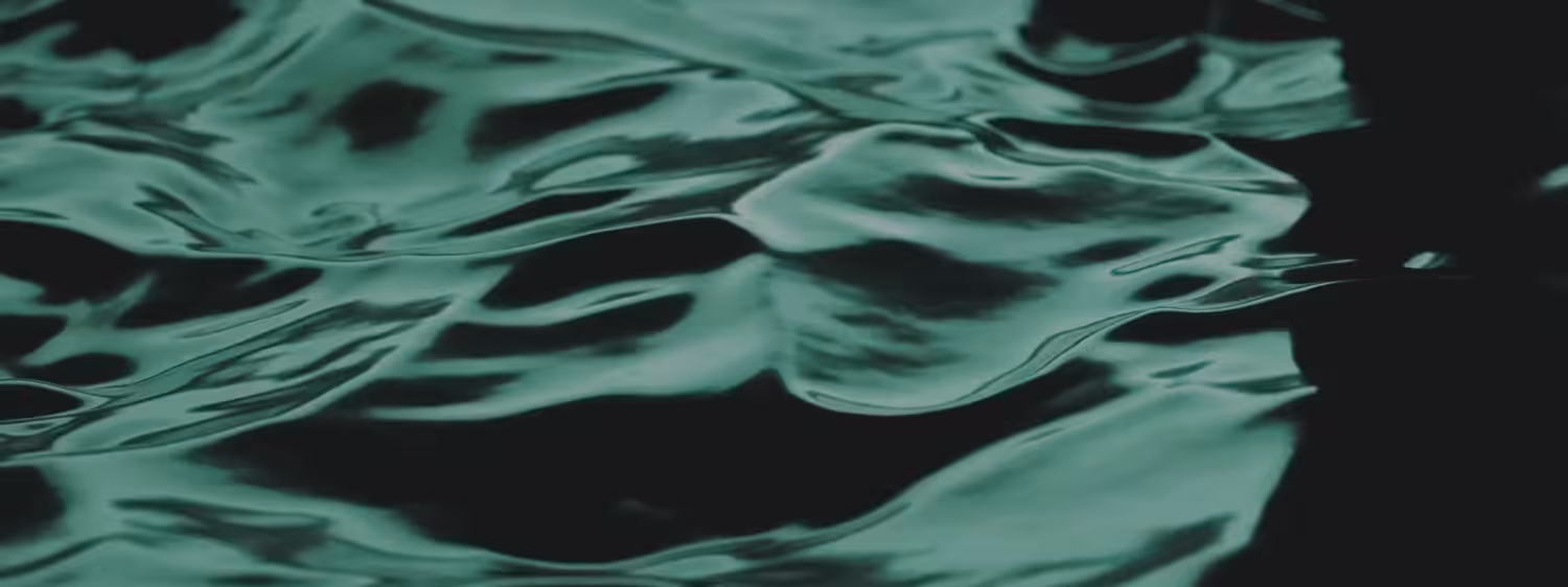 Dark Waters