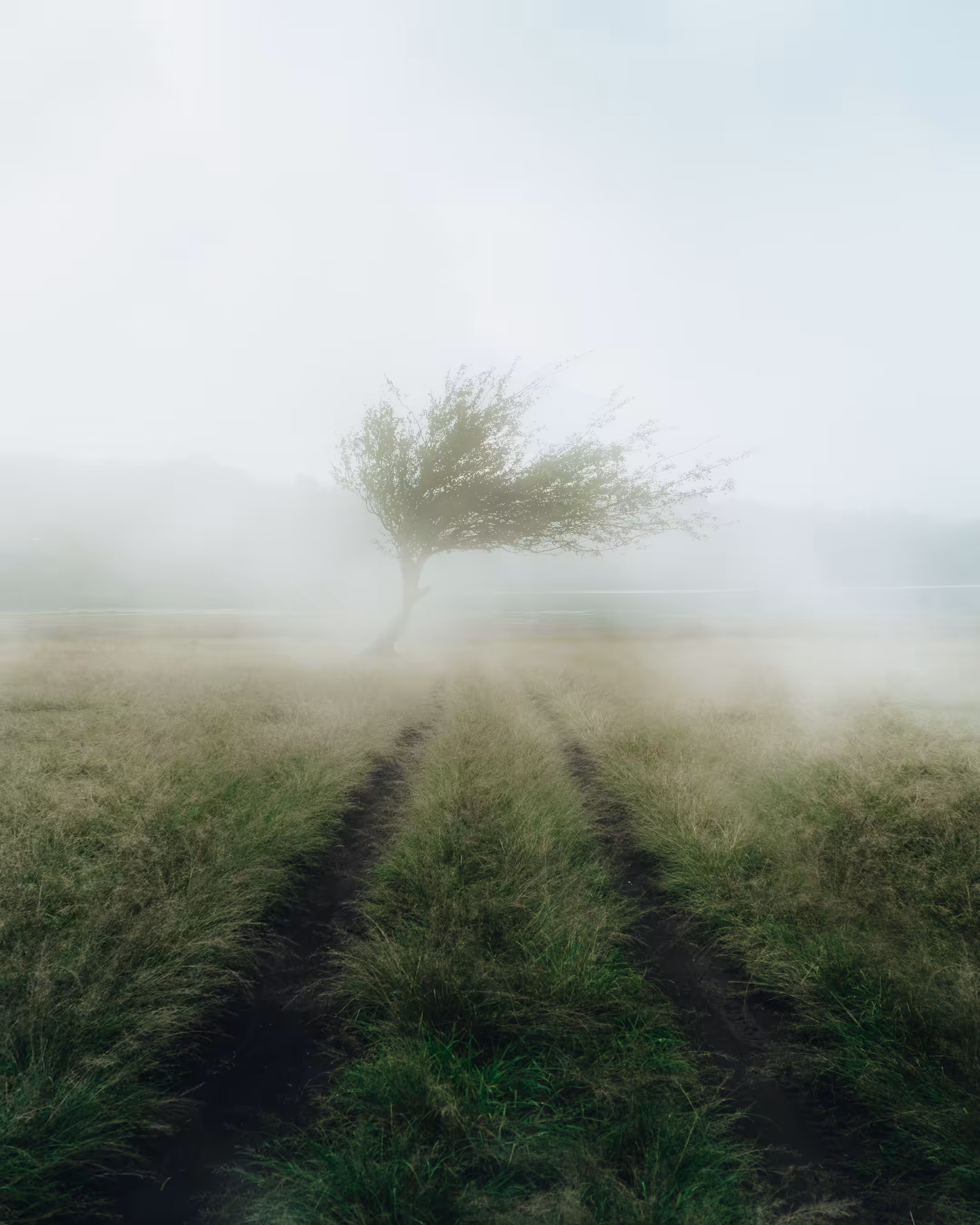 Misty Road