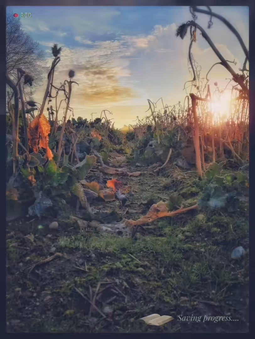 'crossing a field' (saving progress...)