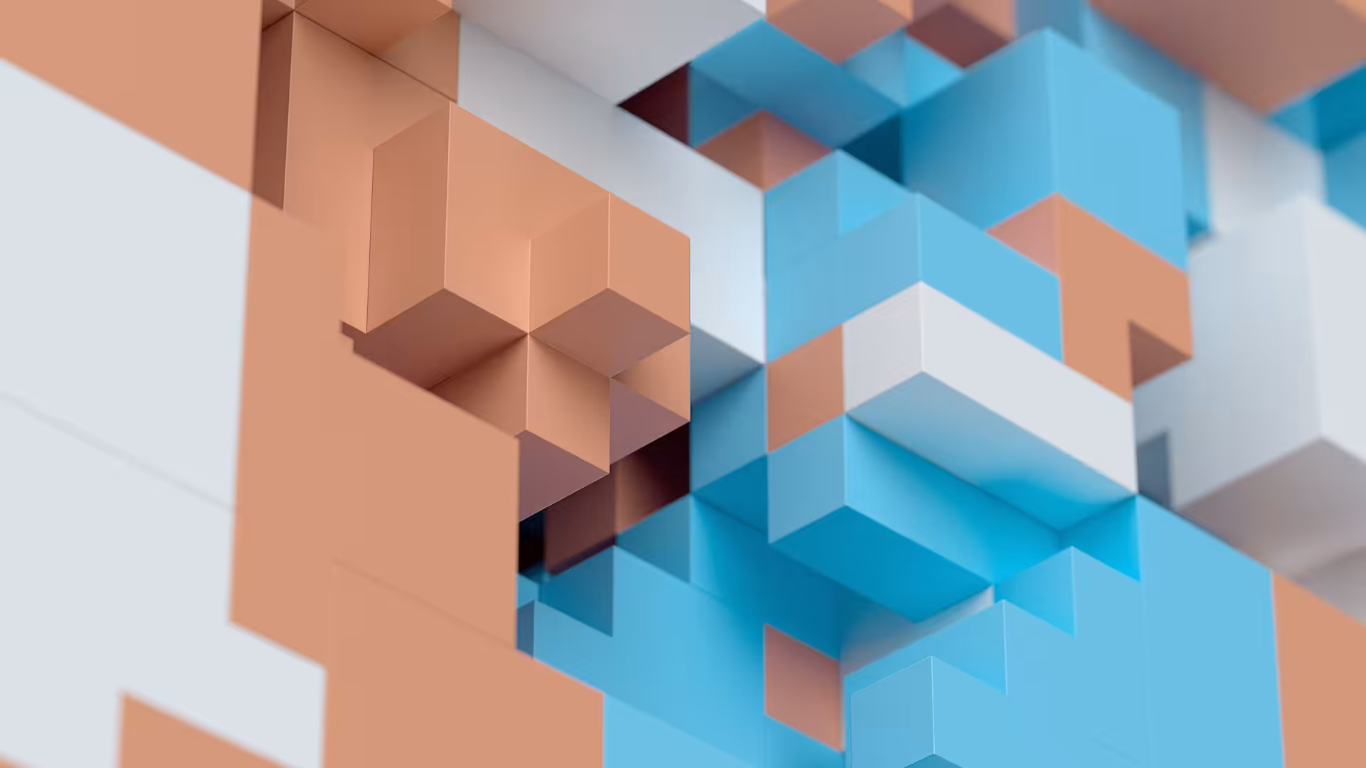 structure.01