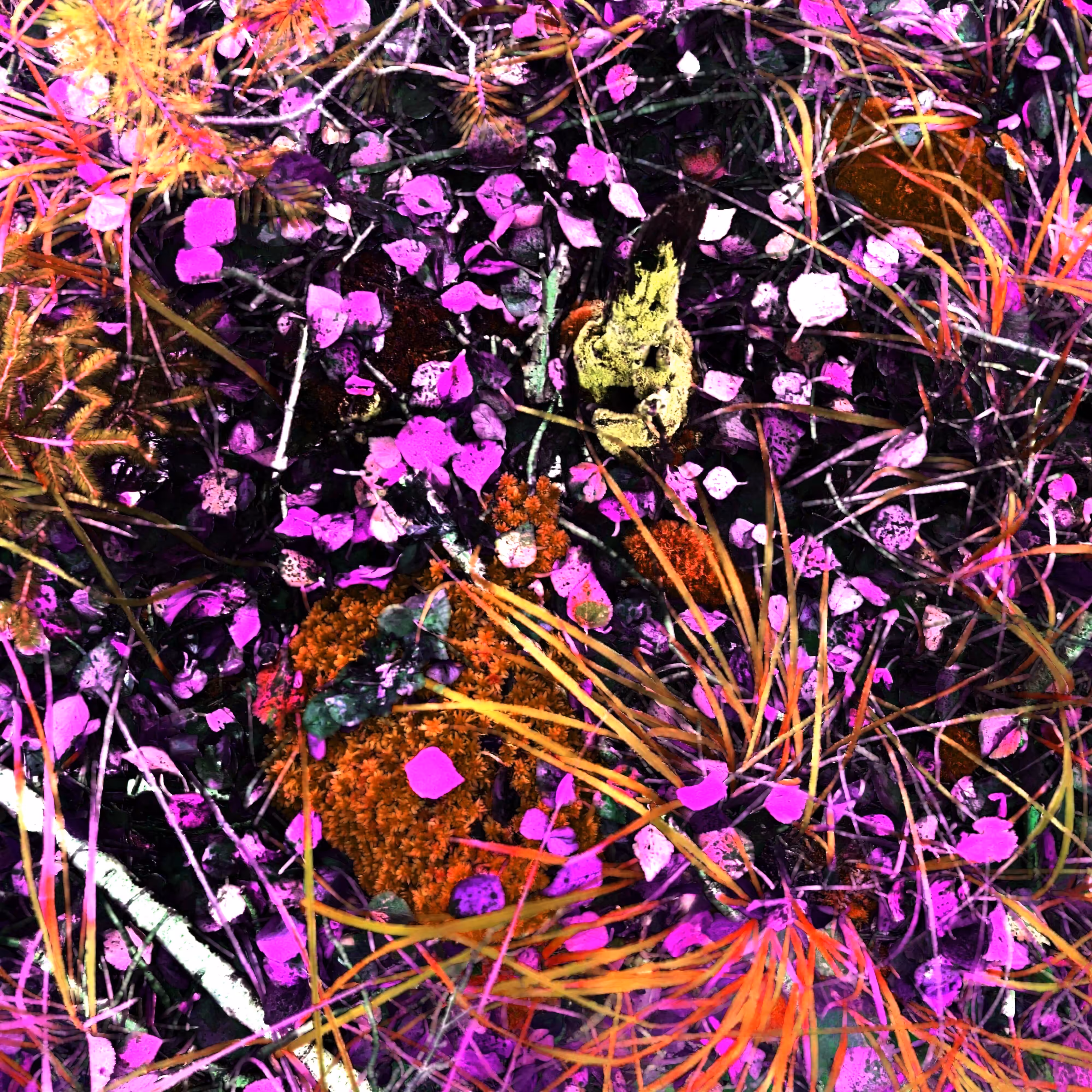 Autonomous Forest Plots: Plot u329hvjeu
