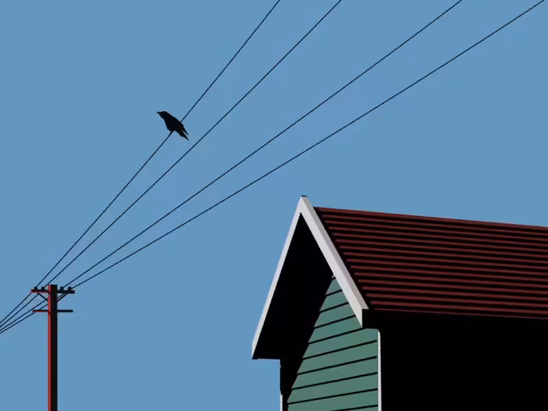 Moments: Crow