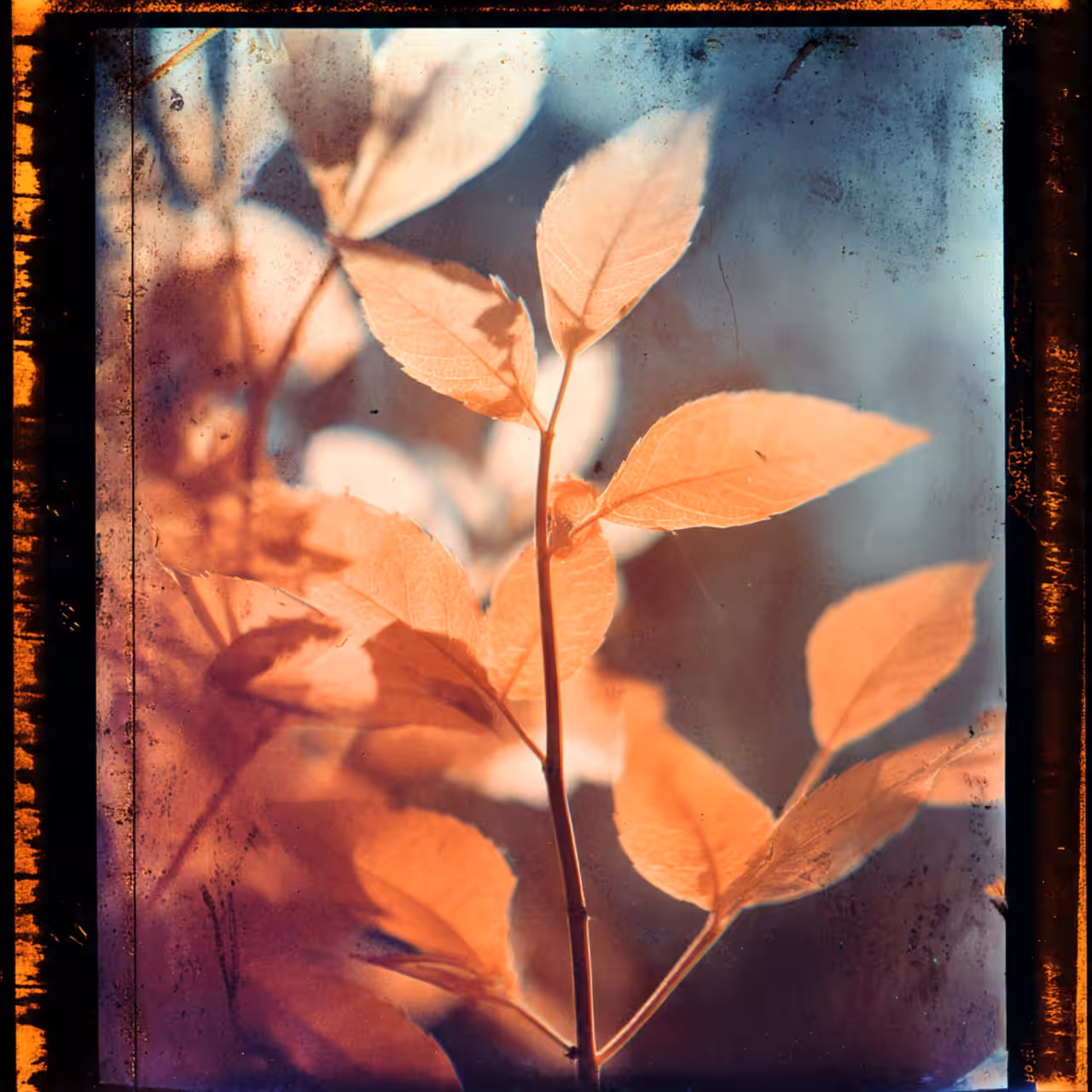 Negative