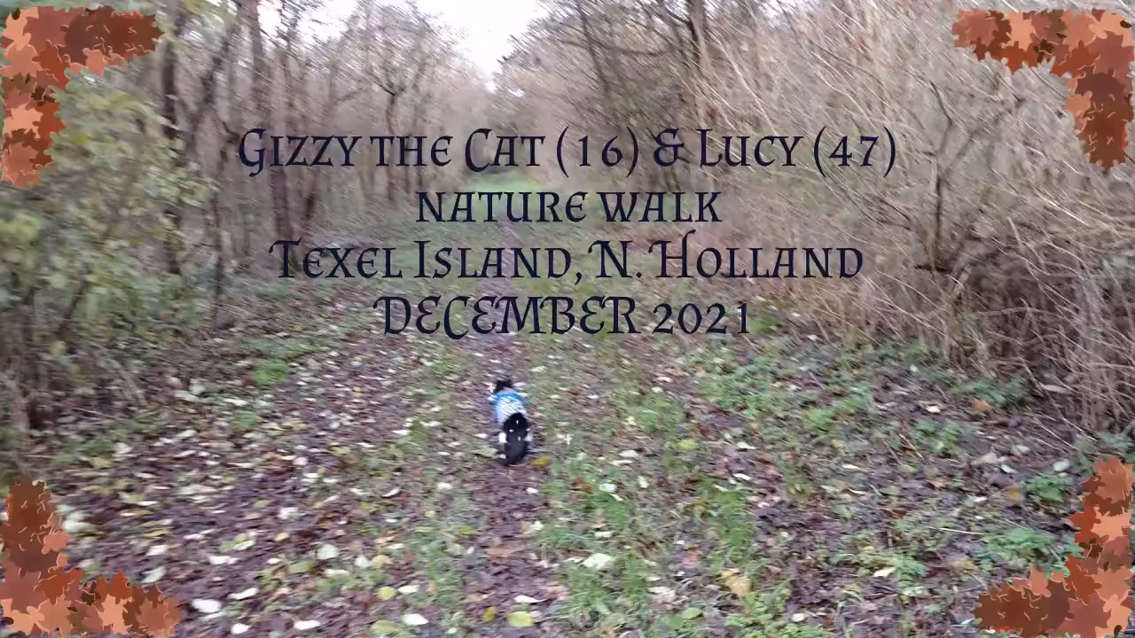 .21 GIZZY THE CAT & LUCY NATURE WALK (TEXEL ISLAND, NL). Lucky Lucy van Delft