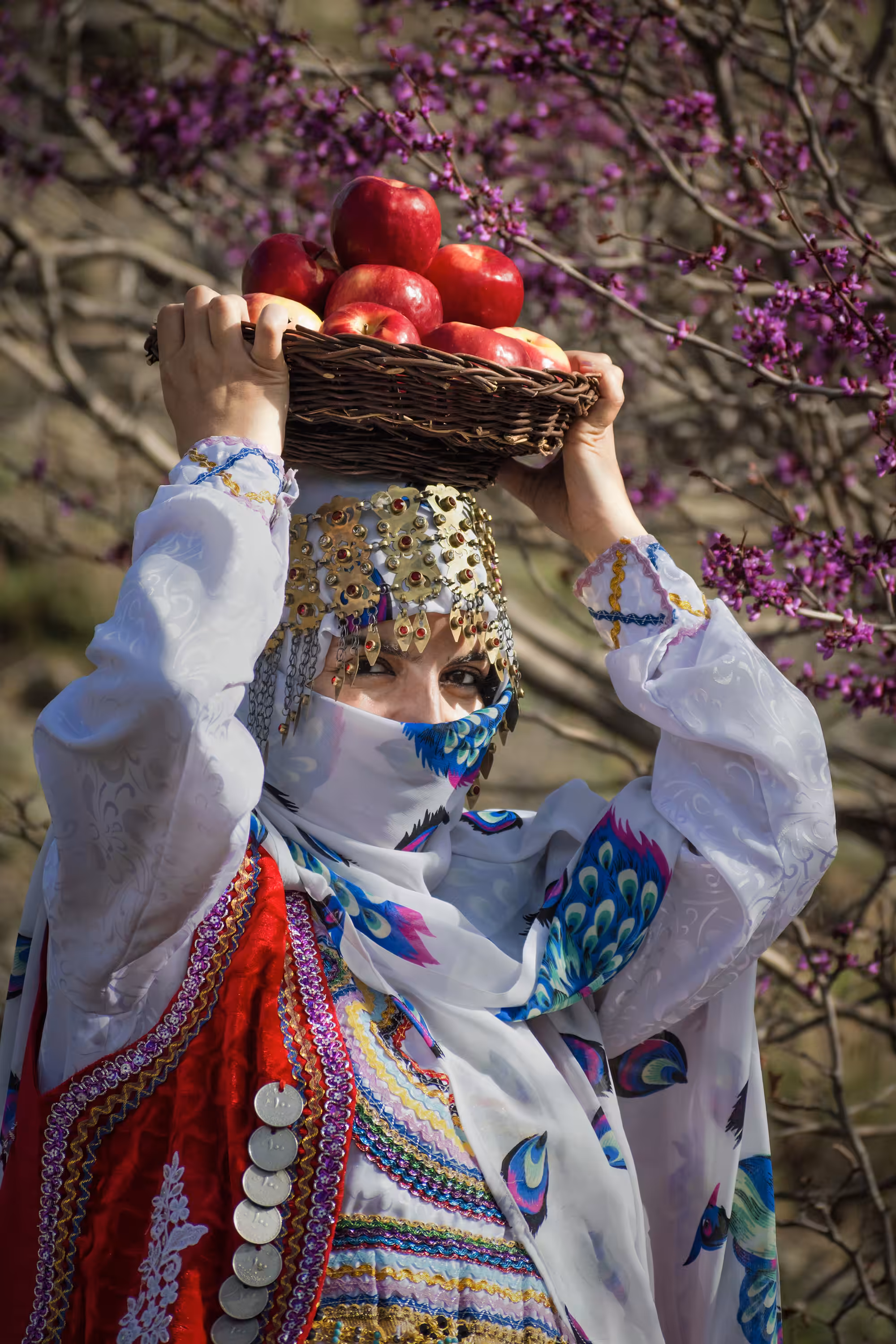 Apple Crown