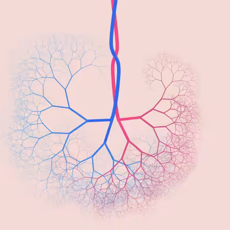 capillary trees #3