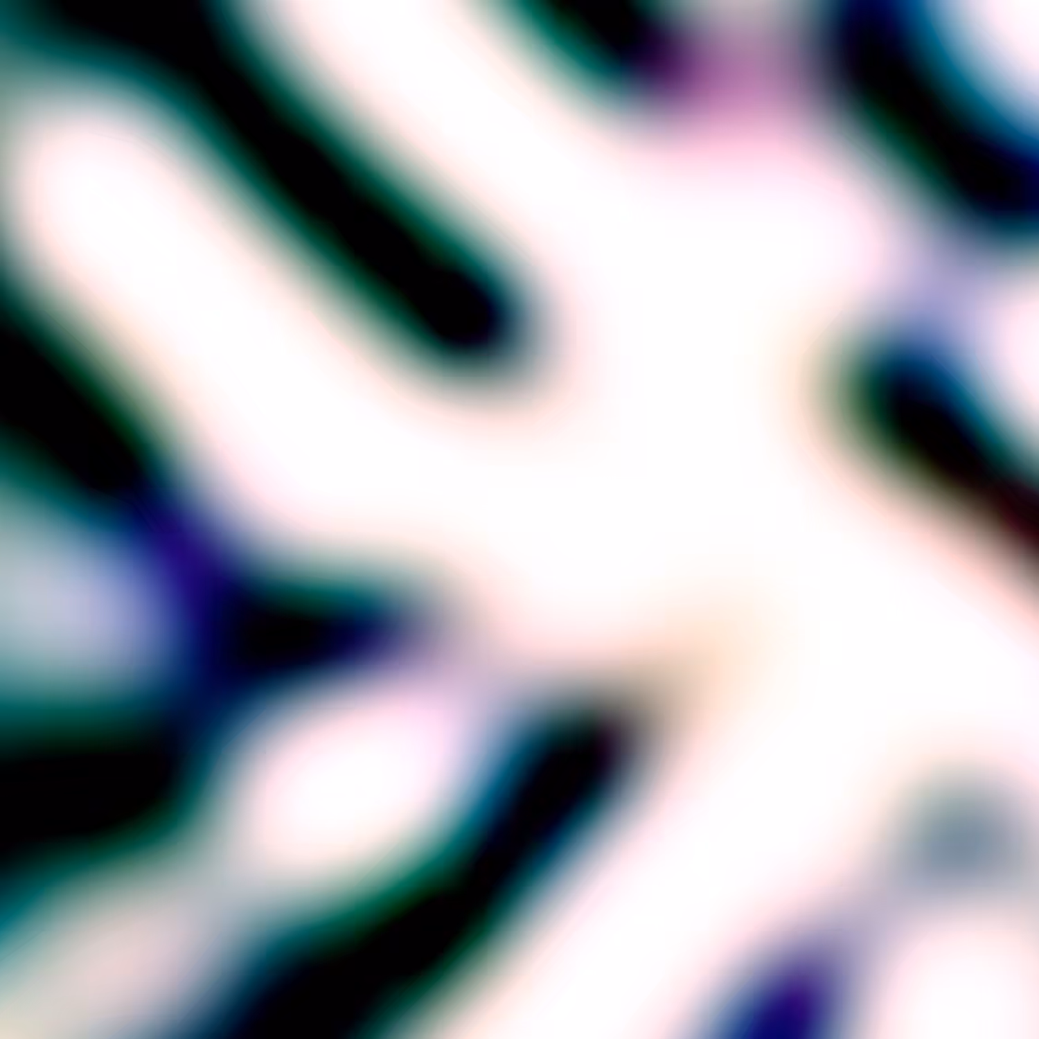 IFICE 13 - 217