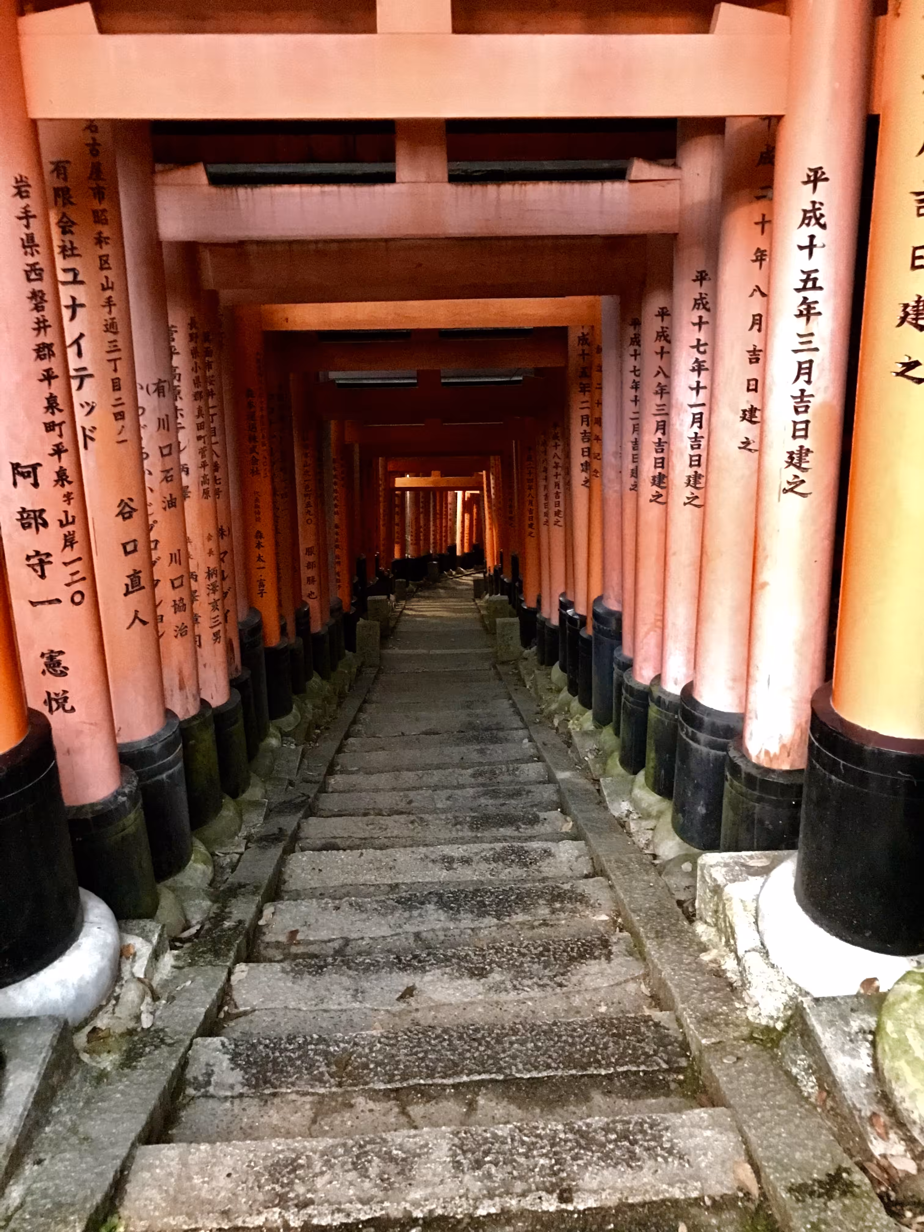 Torii of Fushimi Inari