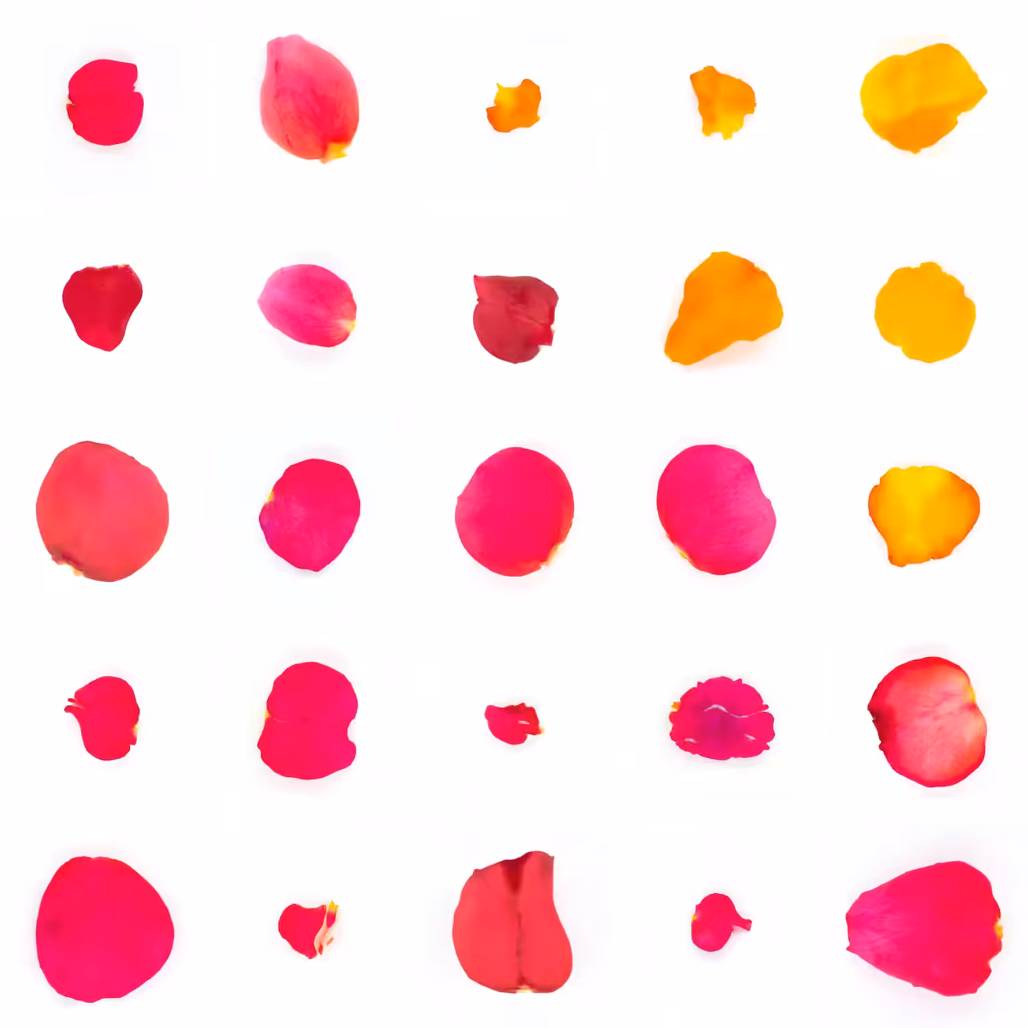 Infinite Petals 5x5#21184
