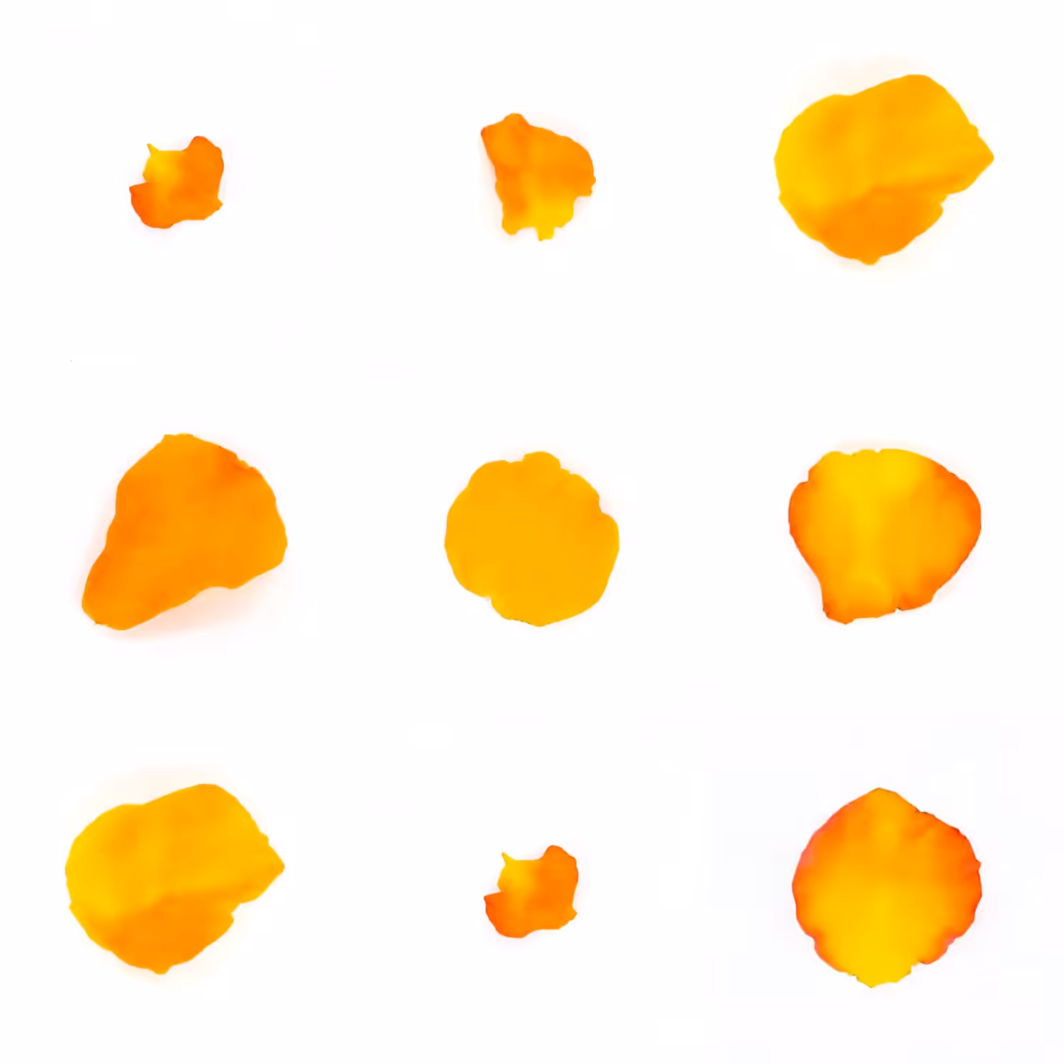 Infinite Petals 3x3#1203