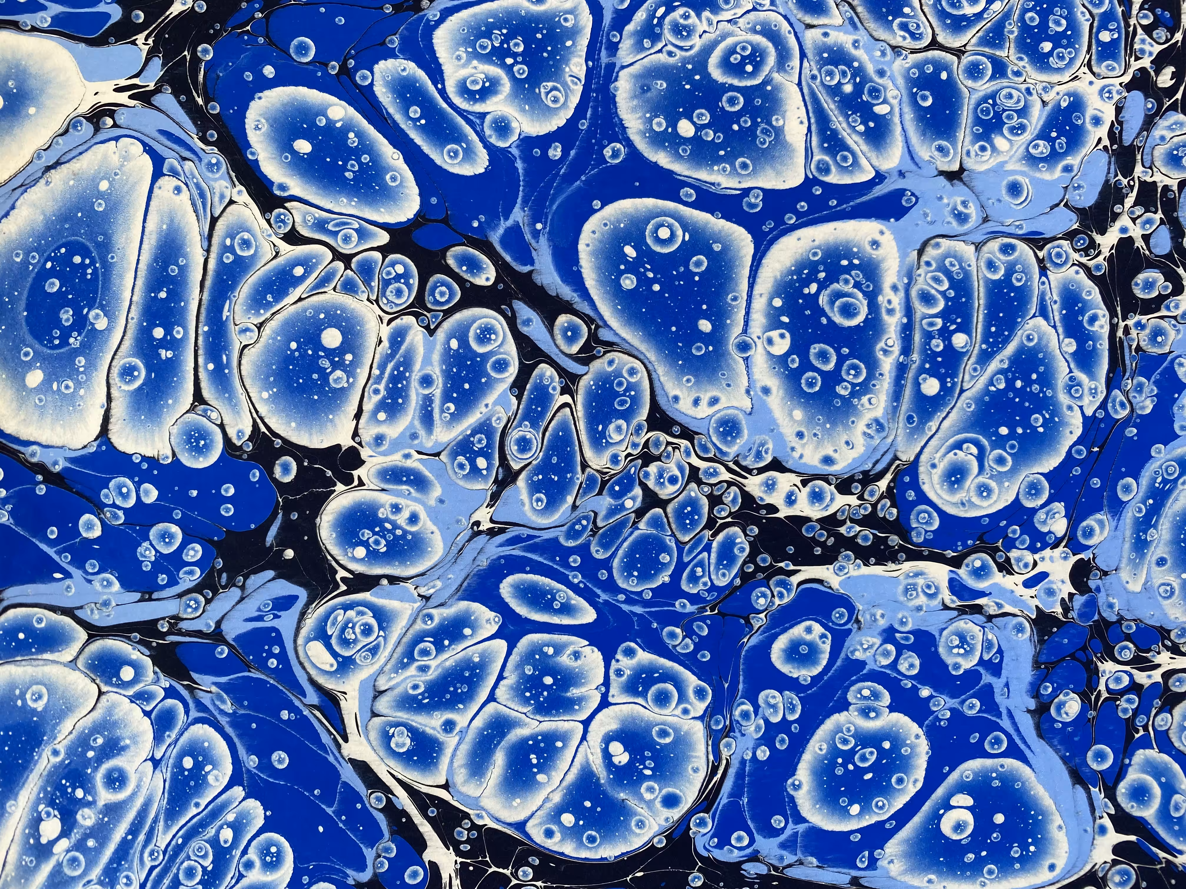 Battal Ebrû / Marbling Art SE #9