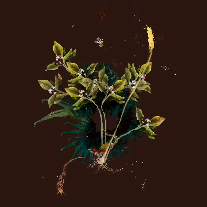 Generative Still Life: Still Life 17.0 #26