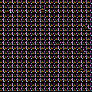 CGA Safari #206