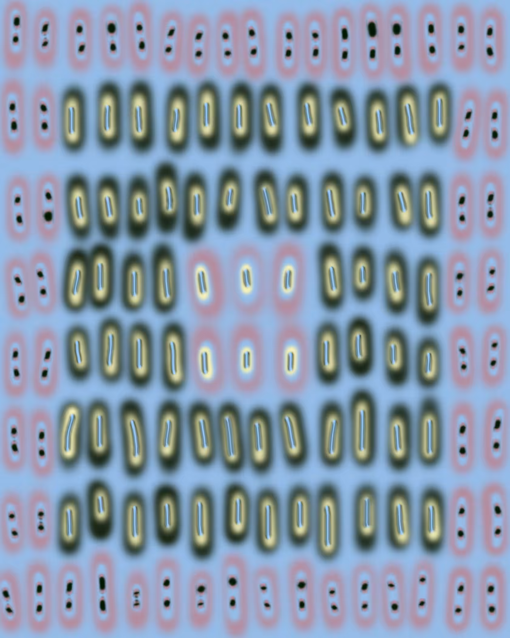 0005