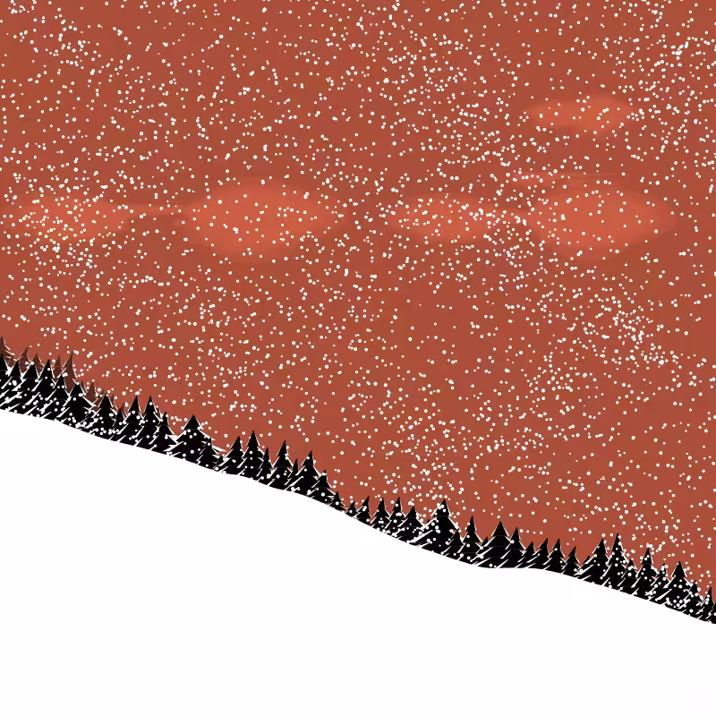 Winterland #233