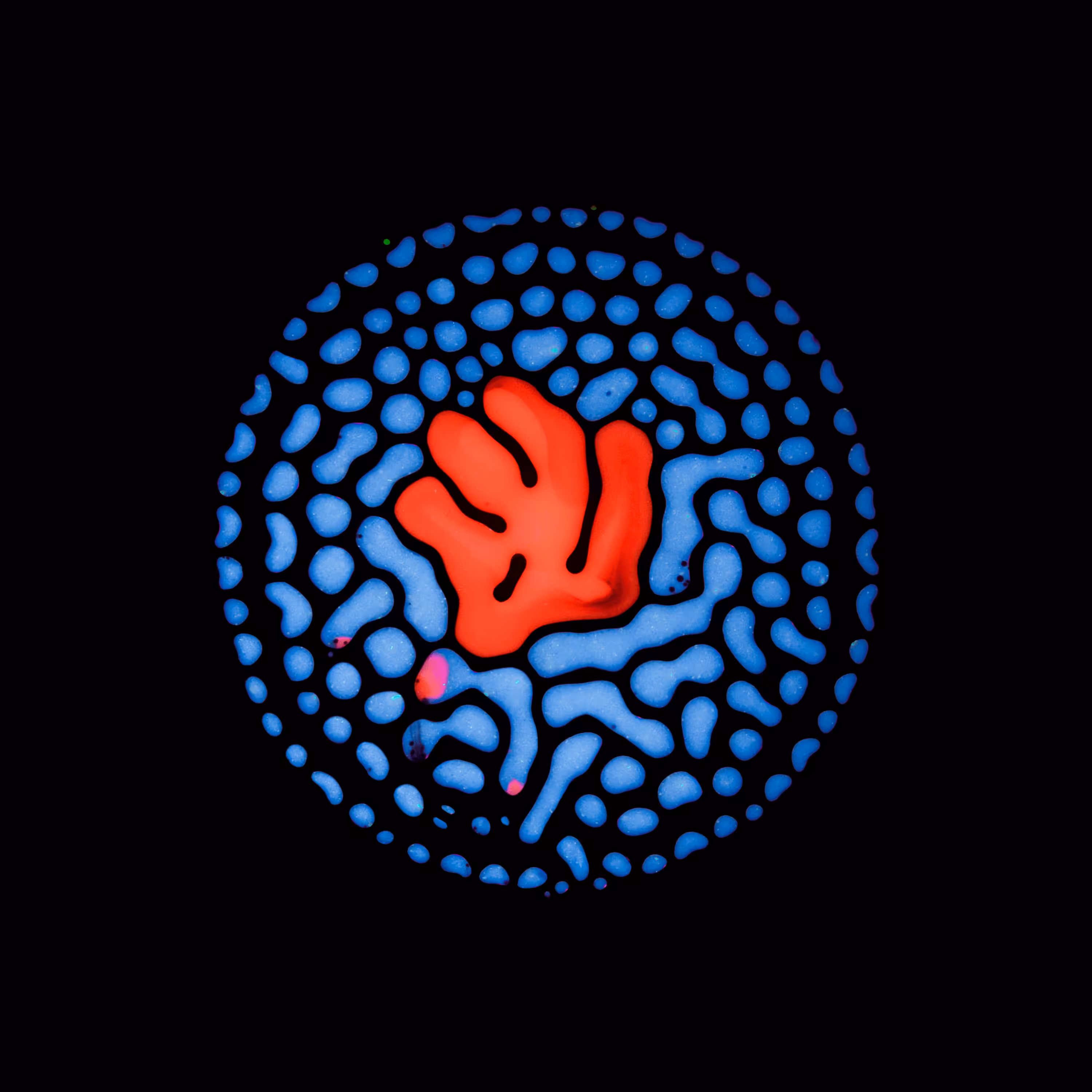 Haematopoiesis #105