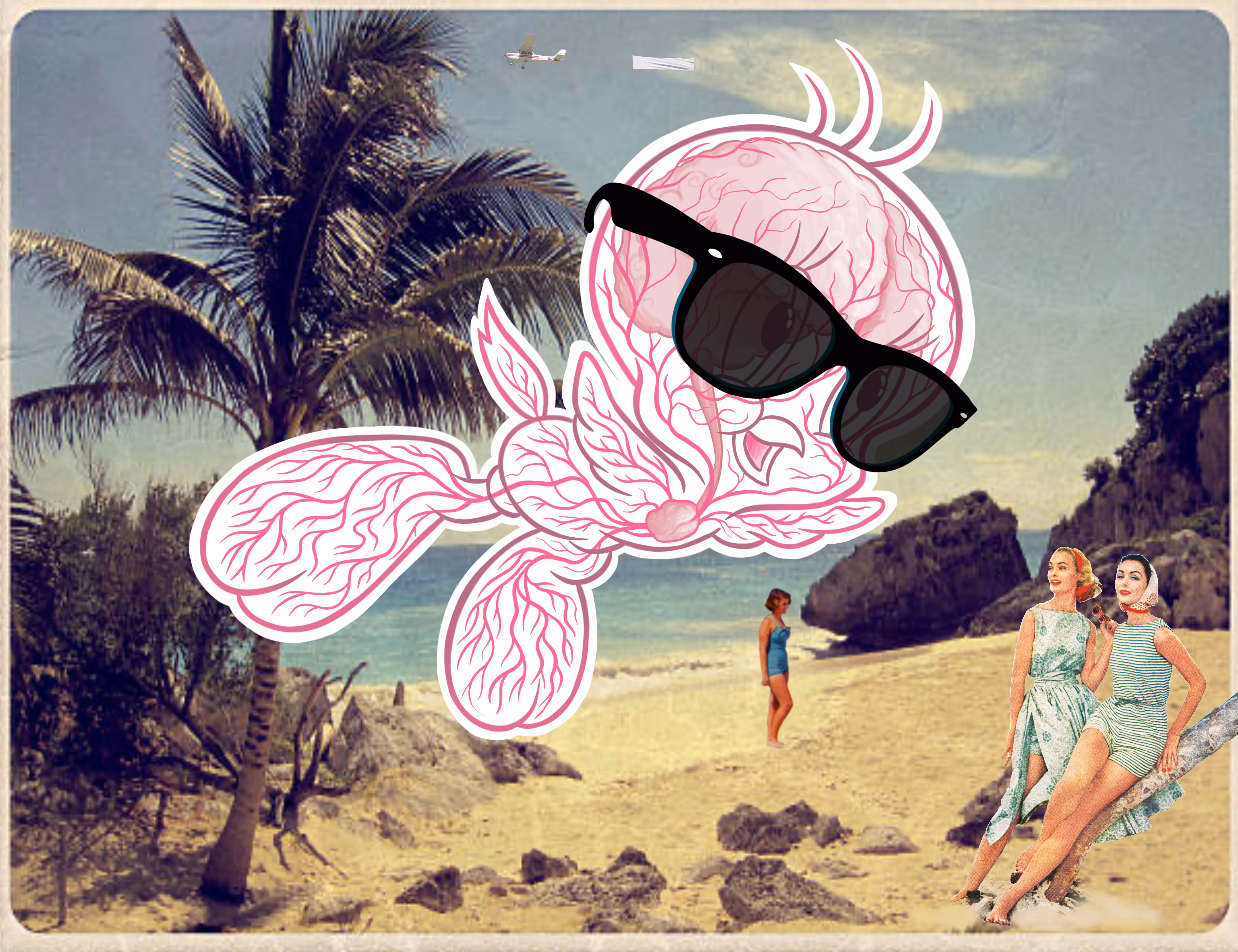 Bird Brains-Vacation Vibes