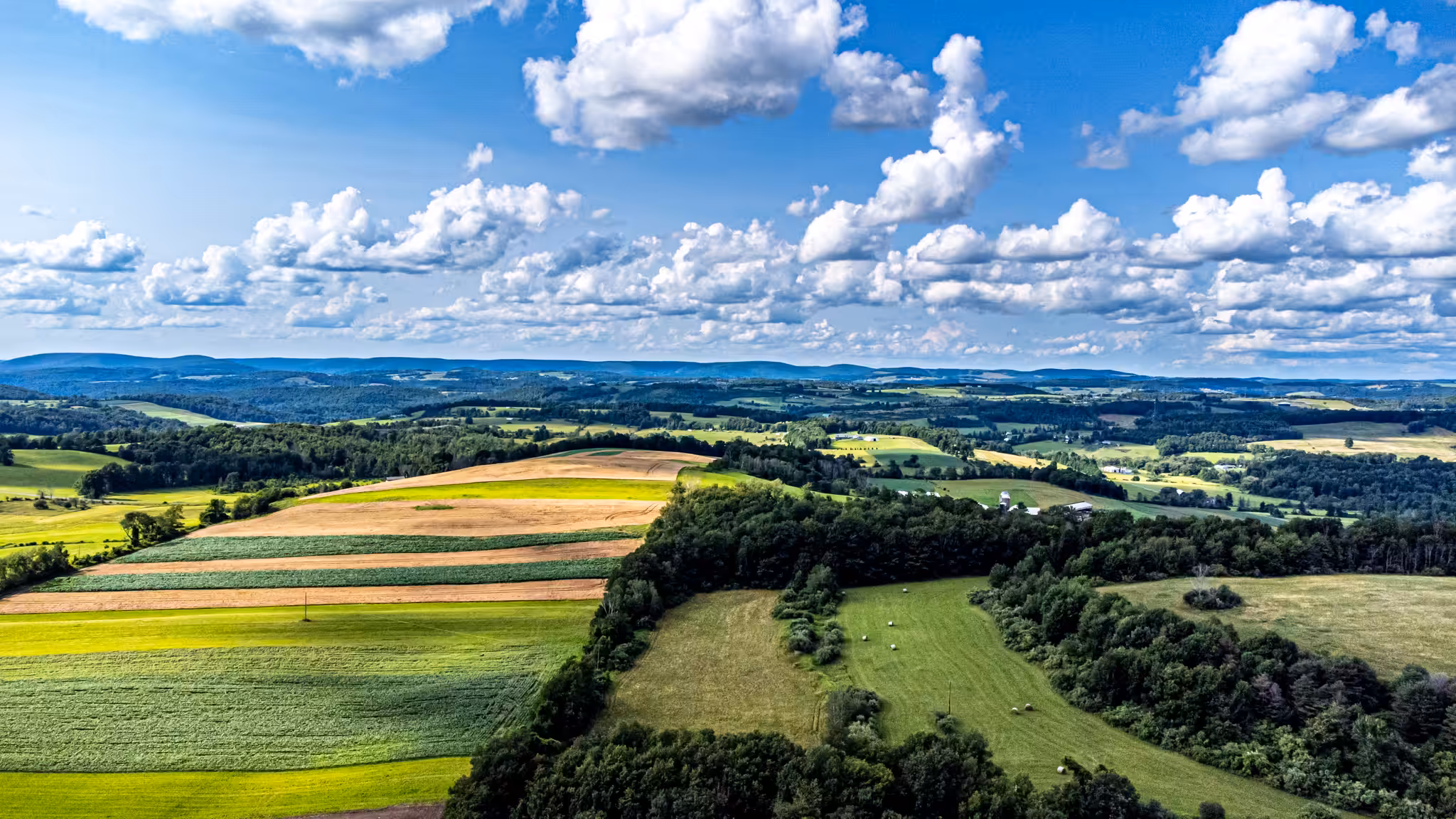 Countryside
