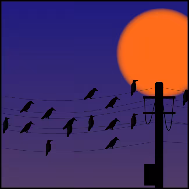 Crows #5