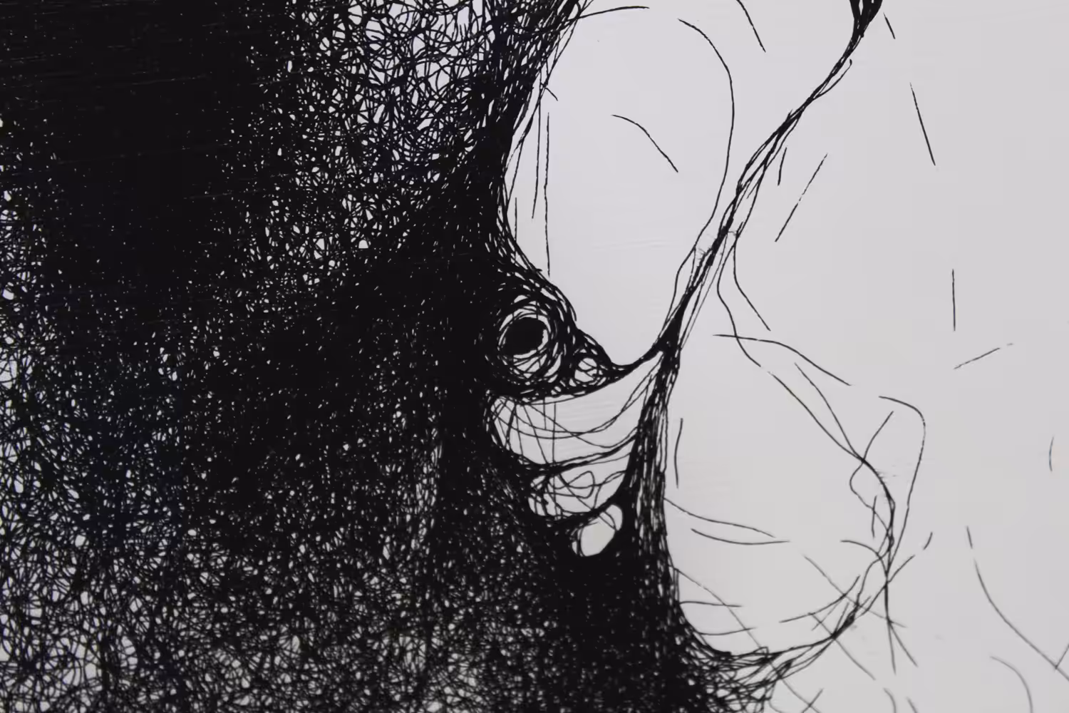 FRACTUS-23.3