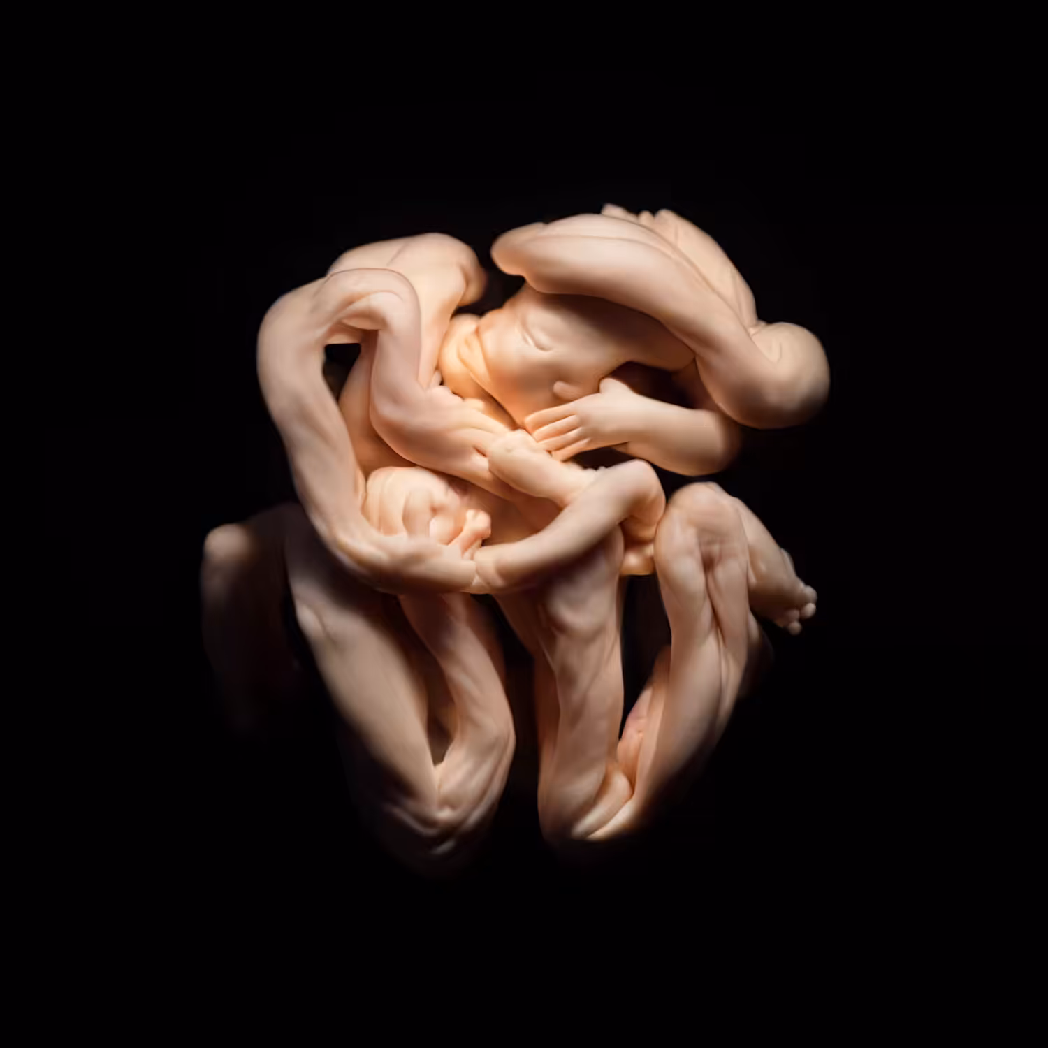 ONTOGENY - 05